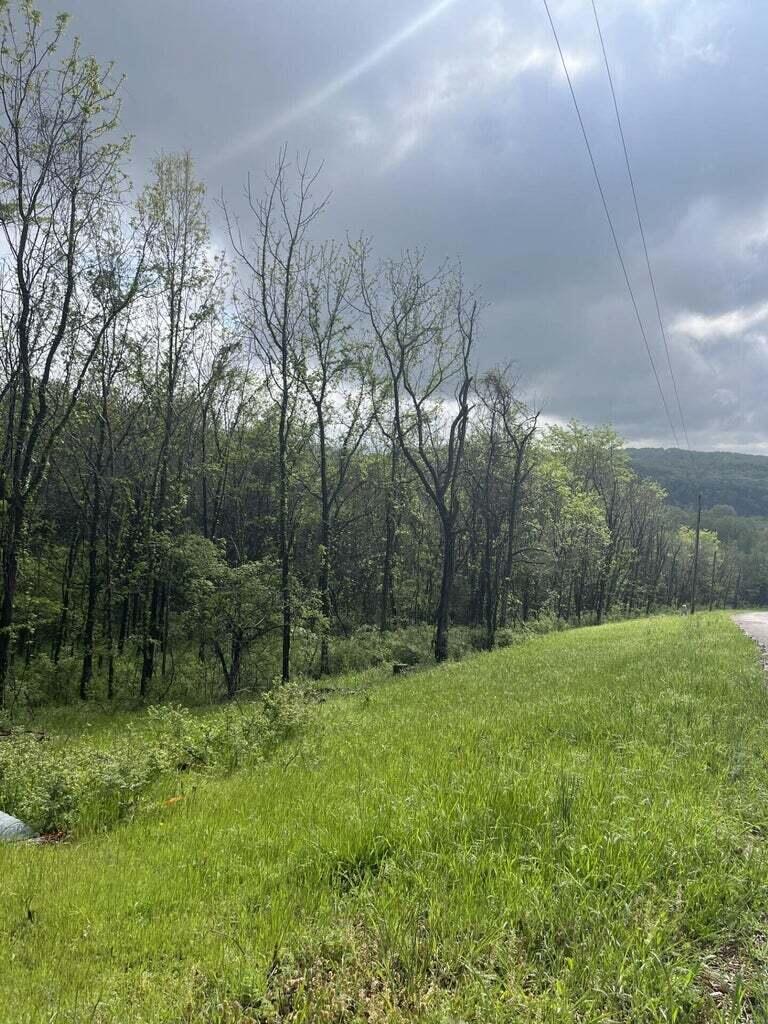 169 Panorama (lot 169)-2.01 Acres- Drive Property Photo 4