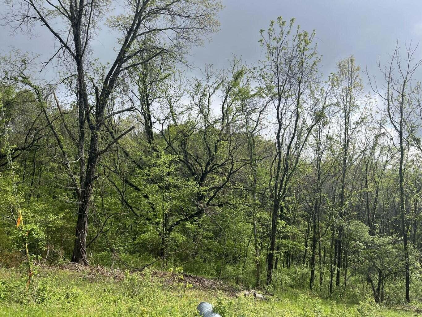169 Panorama (lot 169)-2.01 Acres- Drive Property Photo 5
