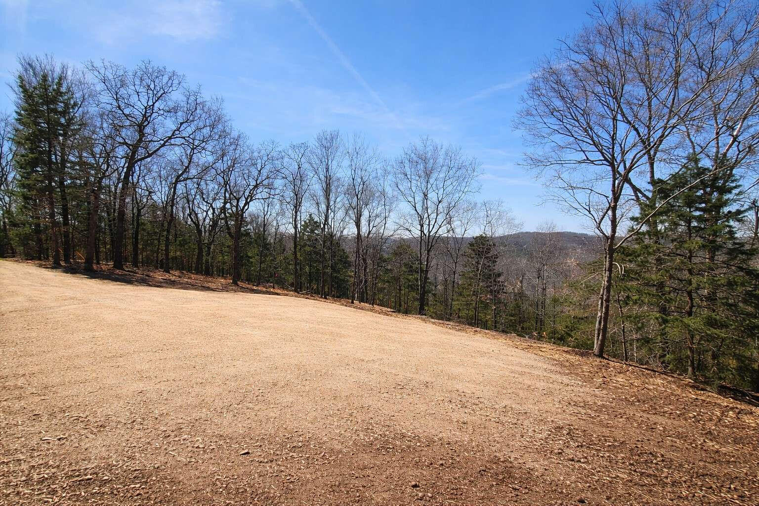 711 Crows Nest Trail Property Photo 4