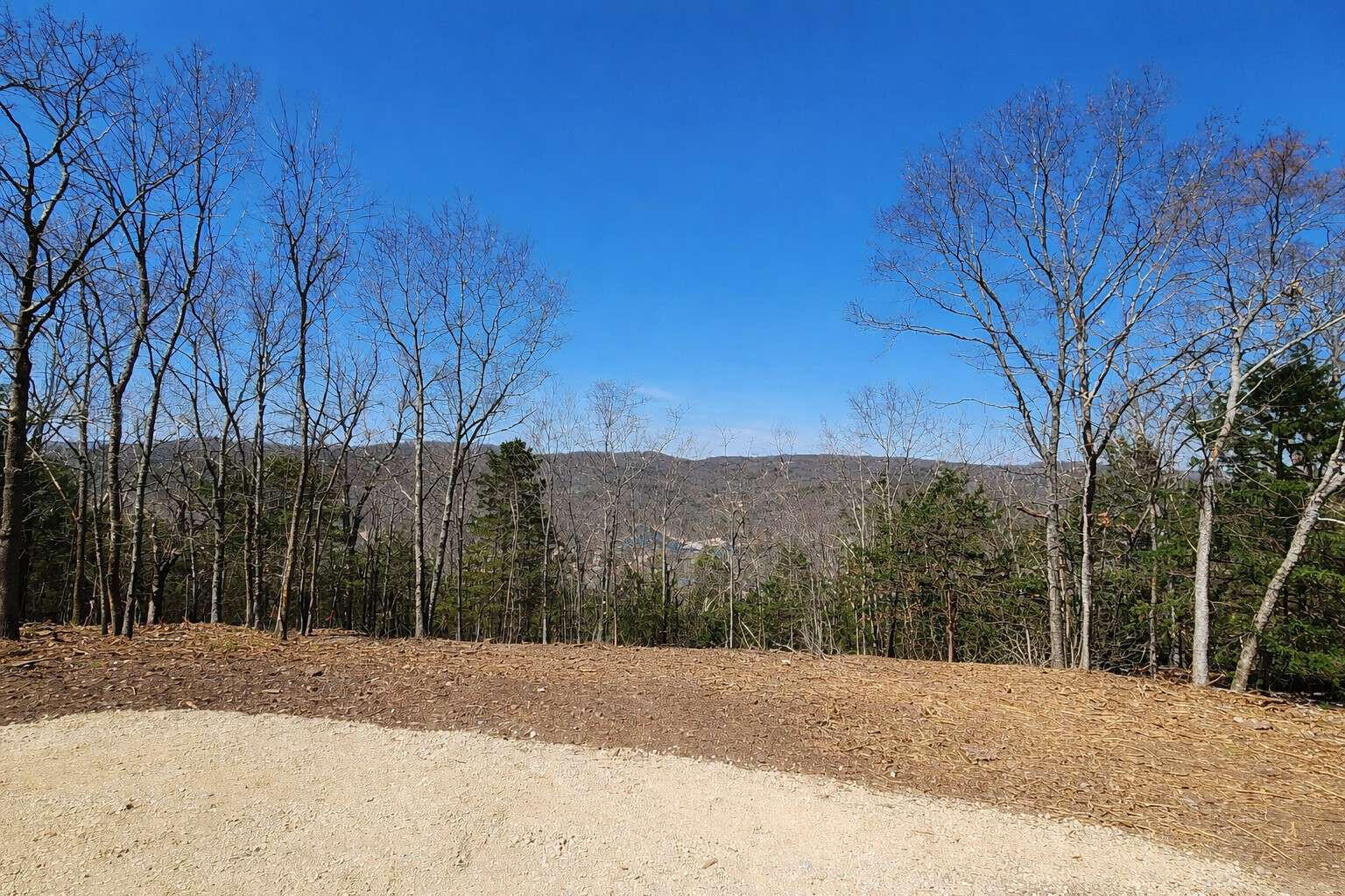 711 Crows Nest Trail Property Photo 6