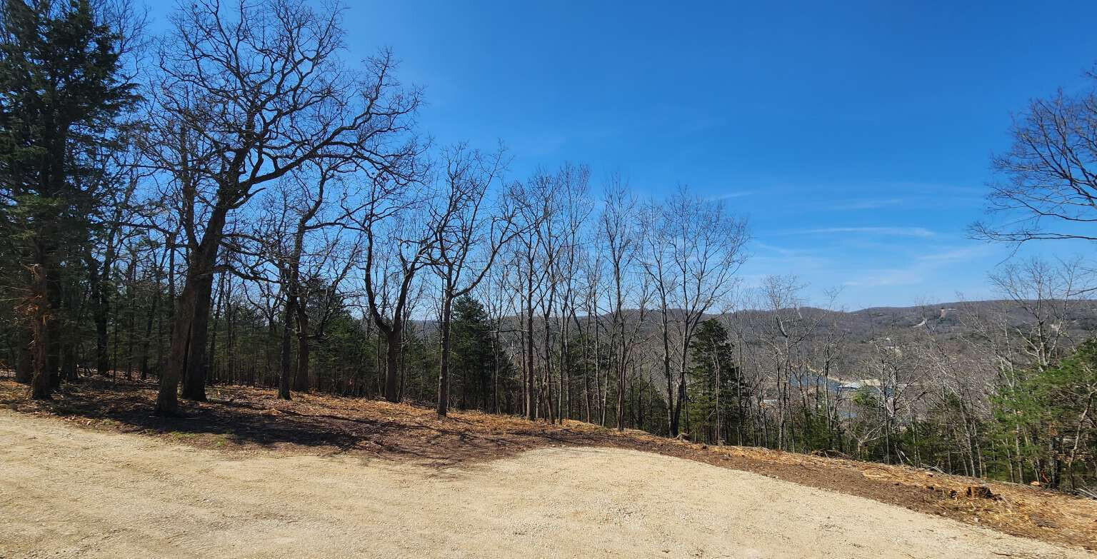 711 Crows Nest Trail Property Photo 7