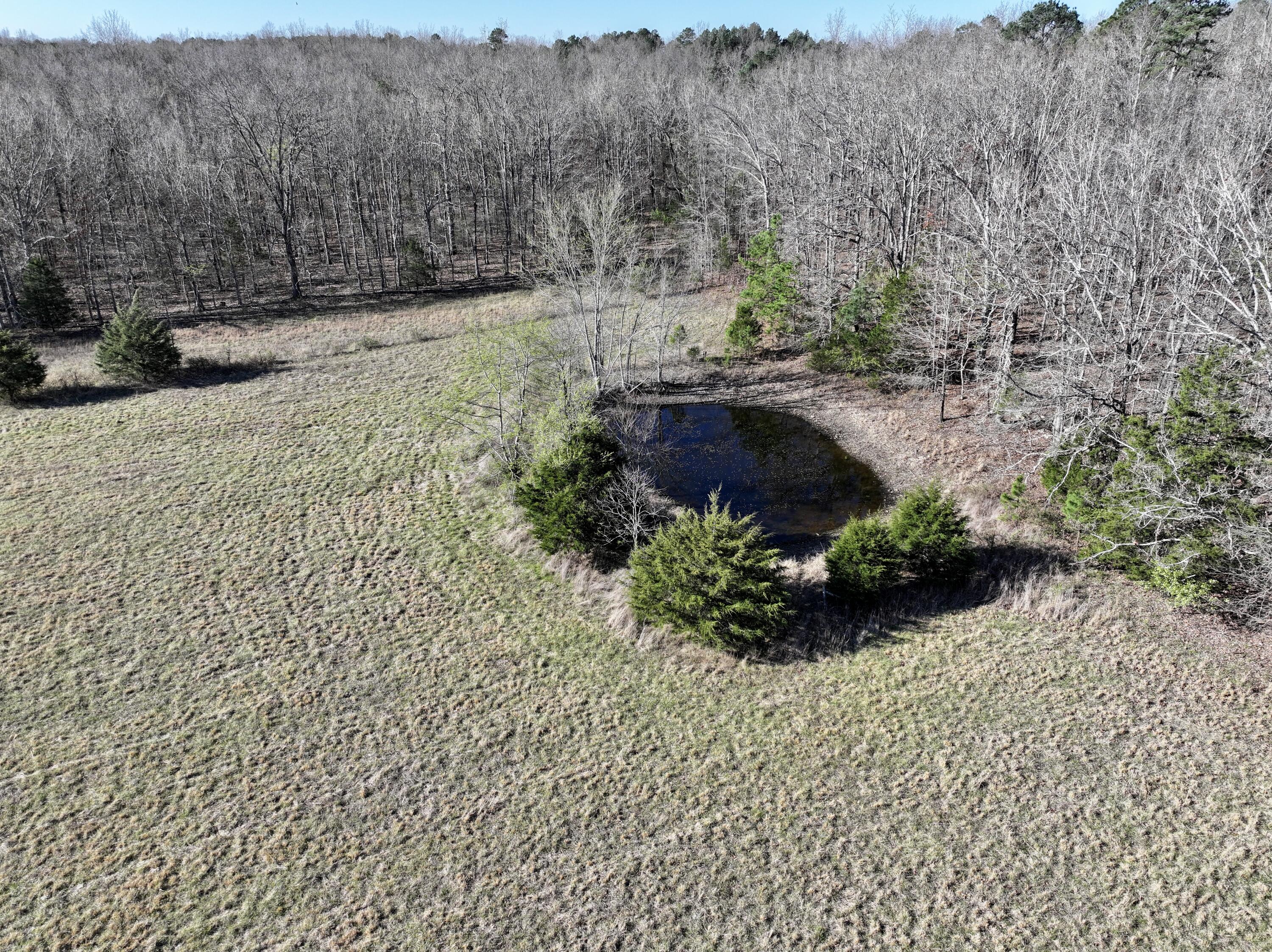 822 County Road 160 A Property Photo 13