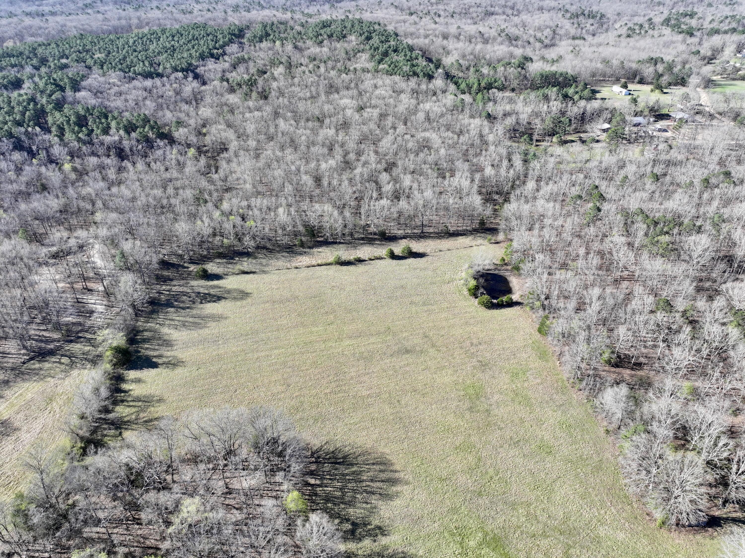 822 County Road 160 A Property Photo 41