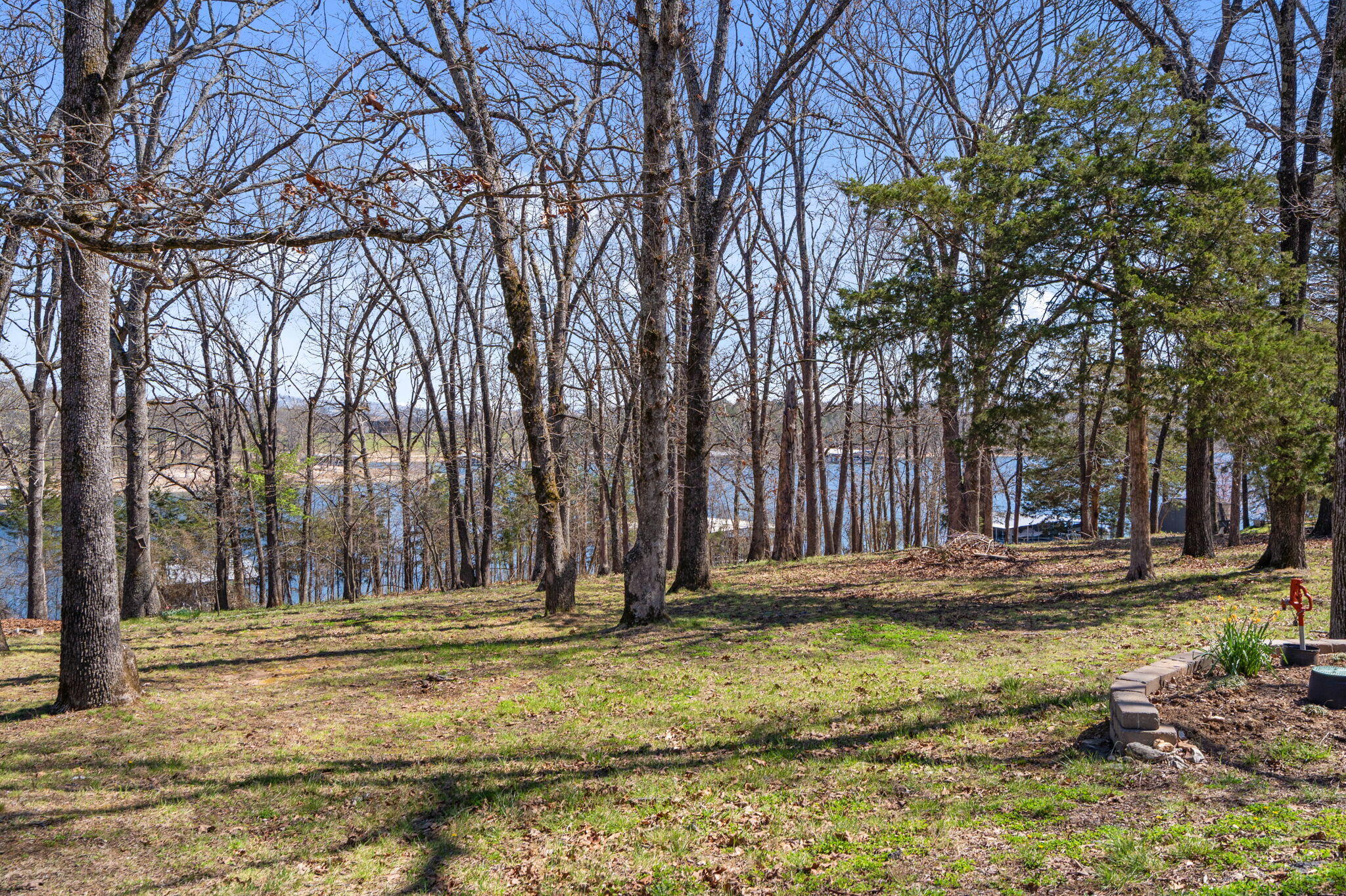Lot 6 Silverbell Lane Property Photo 6