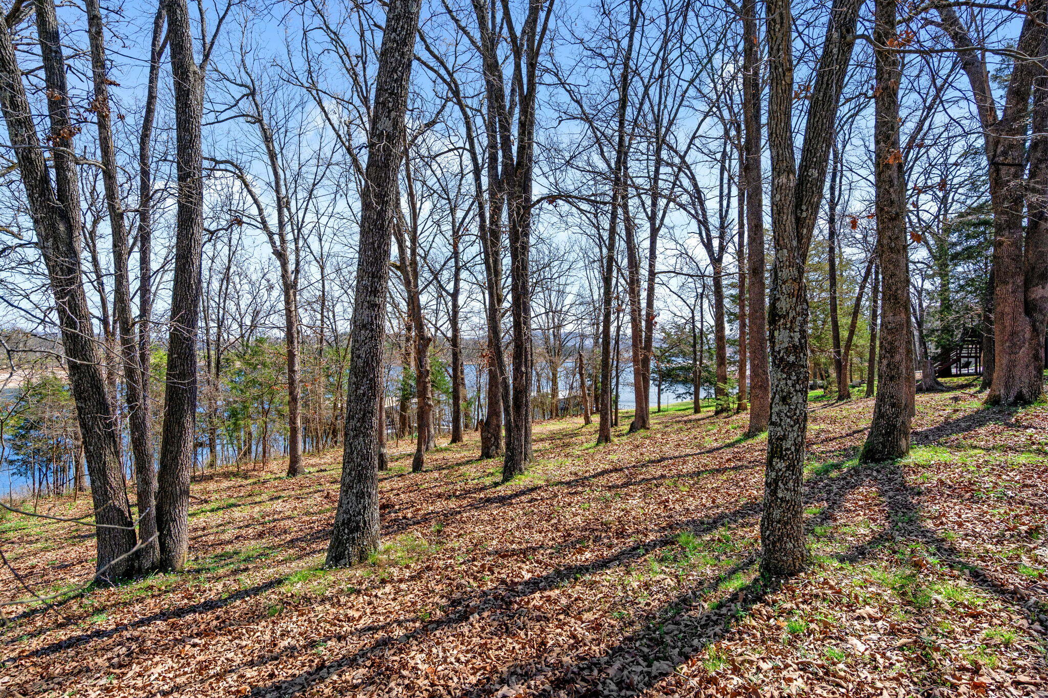 Lot 6 Silverbell Lane Property Photo 7