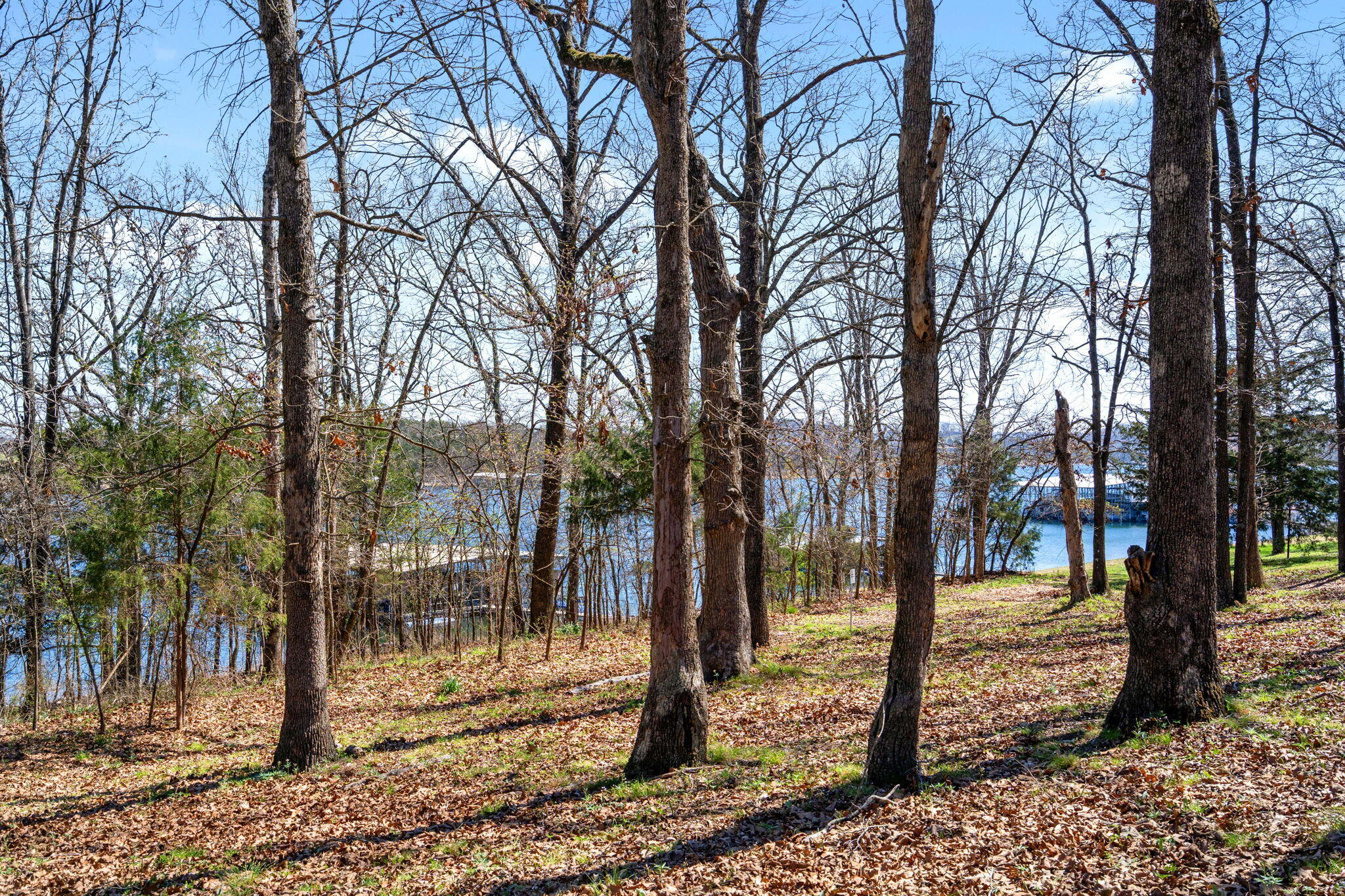 Lot 6 Silverbell Lane Property Photo 8