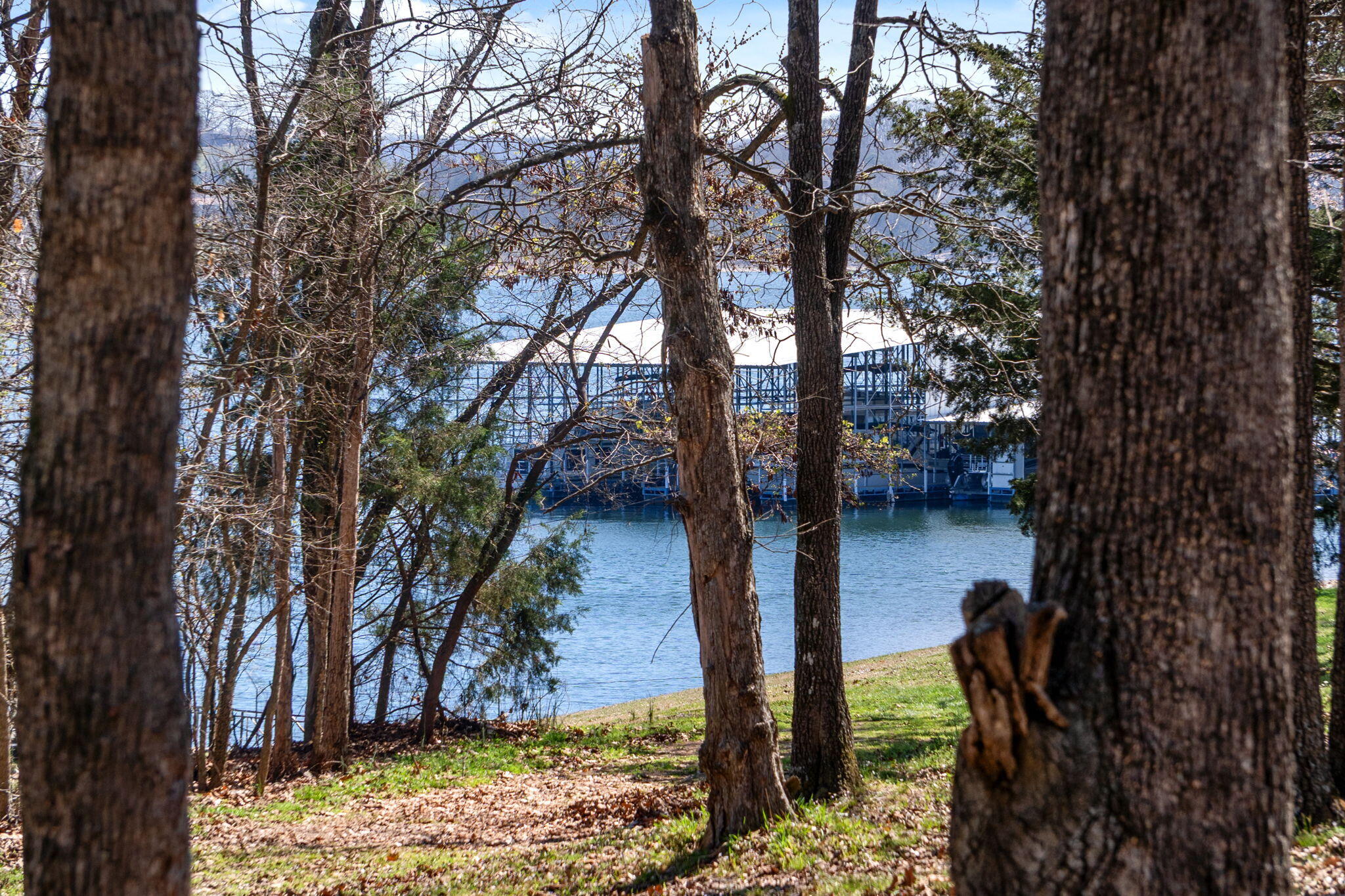 Lot 6 Silverbell Lane Property Photo 9