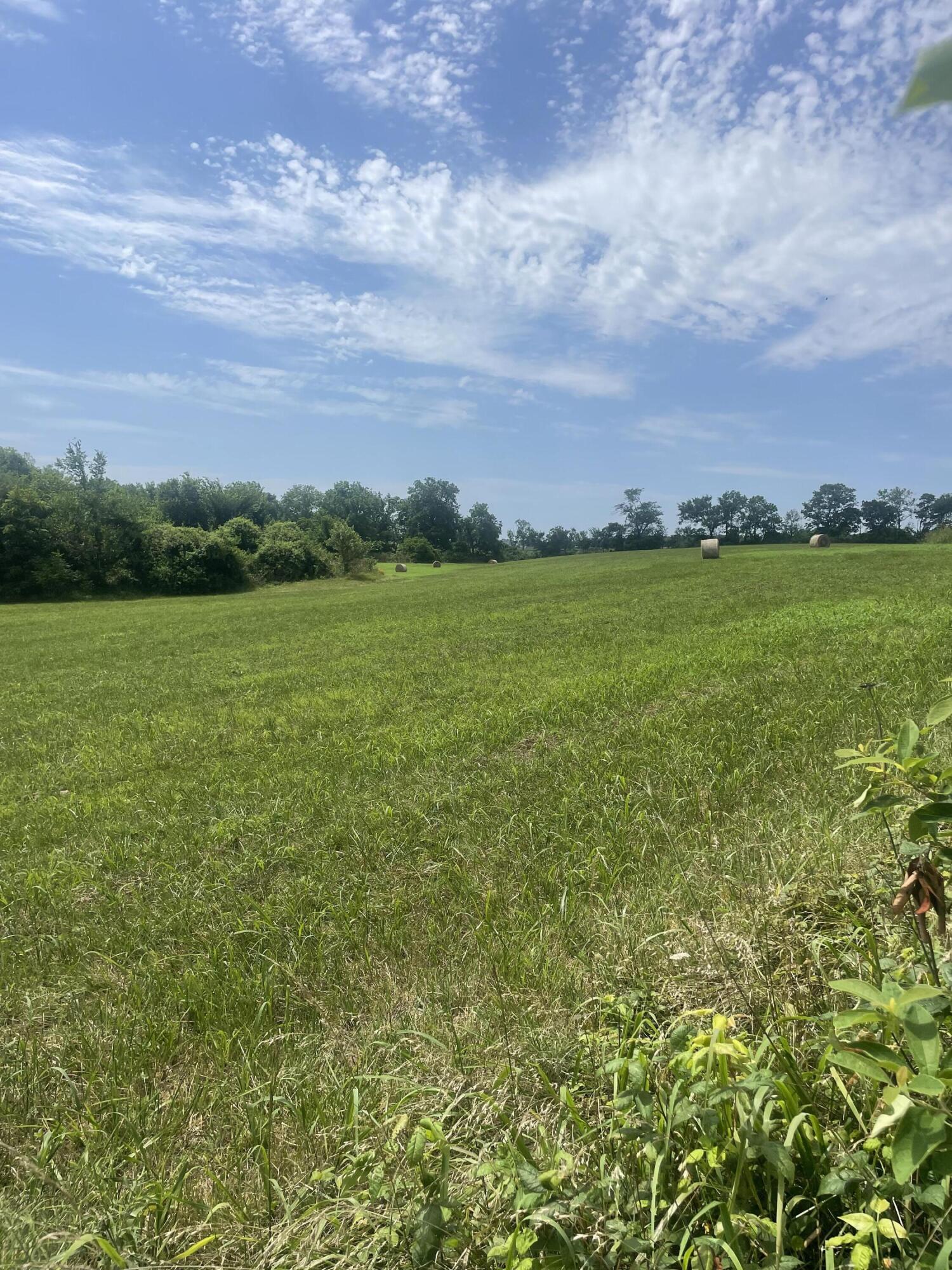 15017 Farm Road 2010 Property Photo 41
