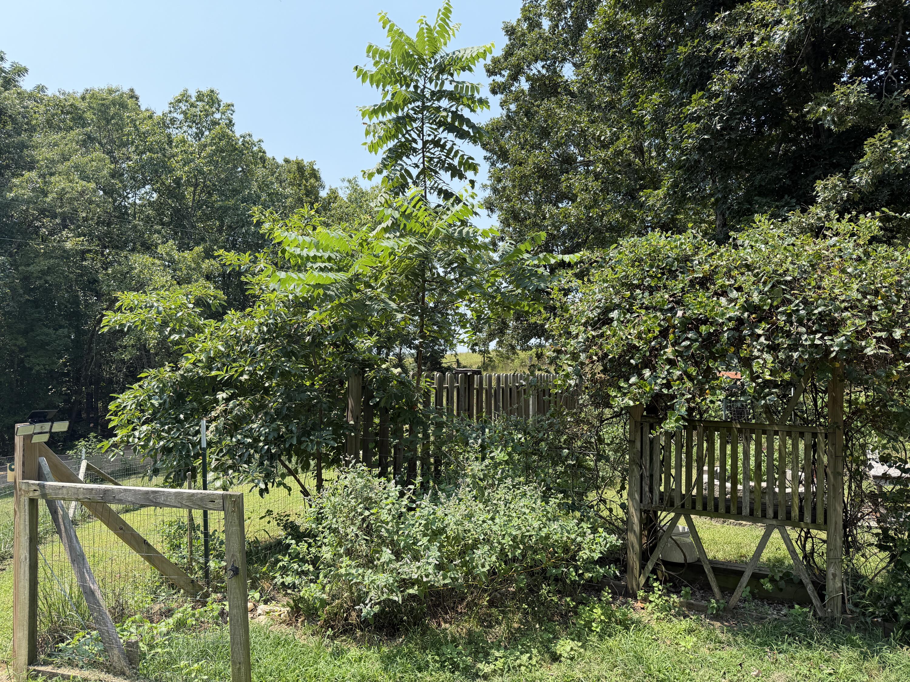 22827 Elderberry Drive West Property Photo 57