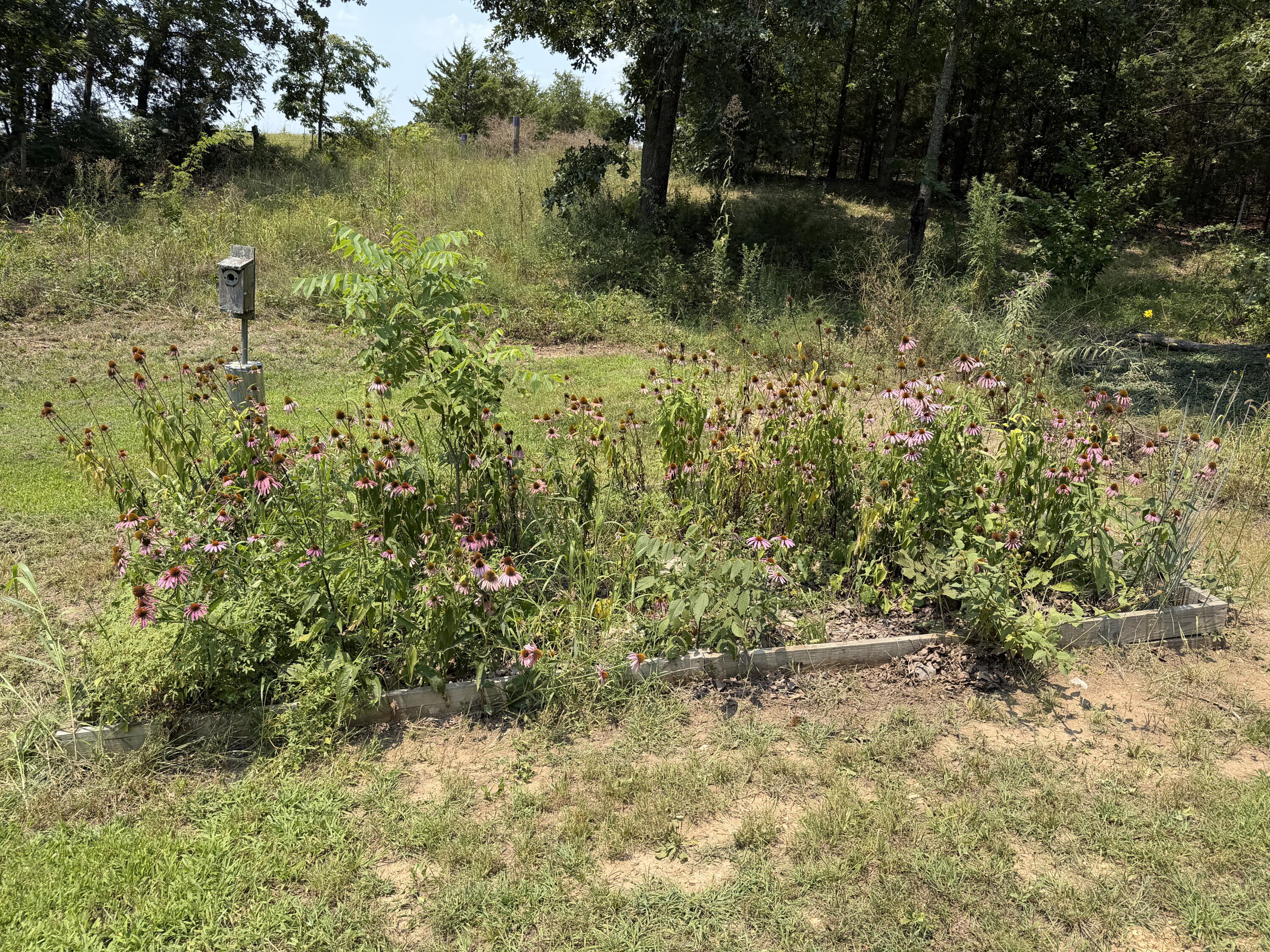 22827 Elderberry Drive West Property Photo 60