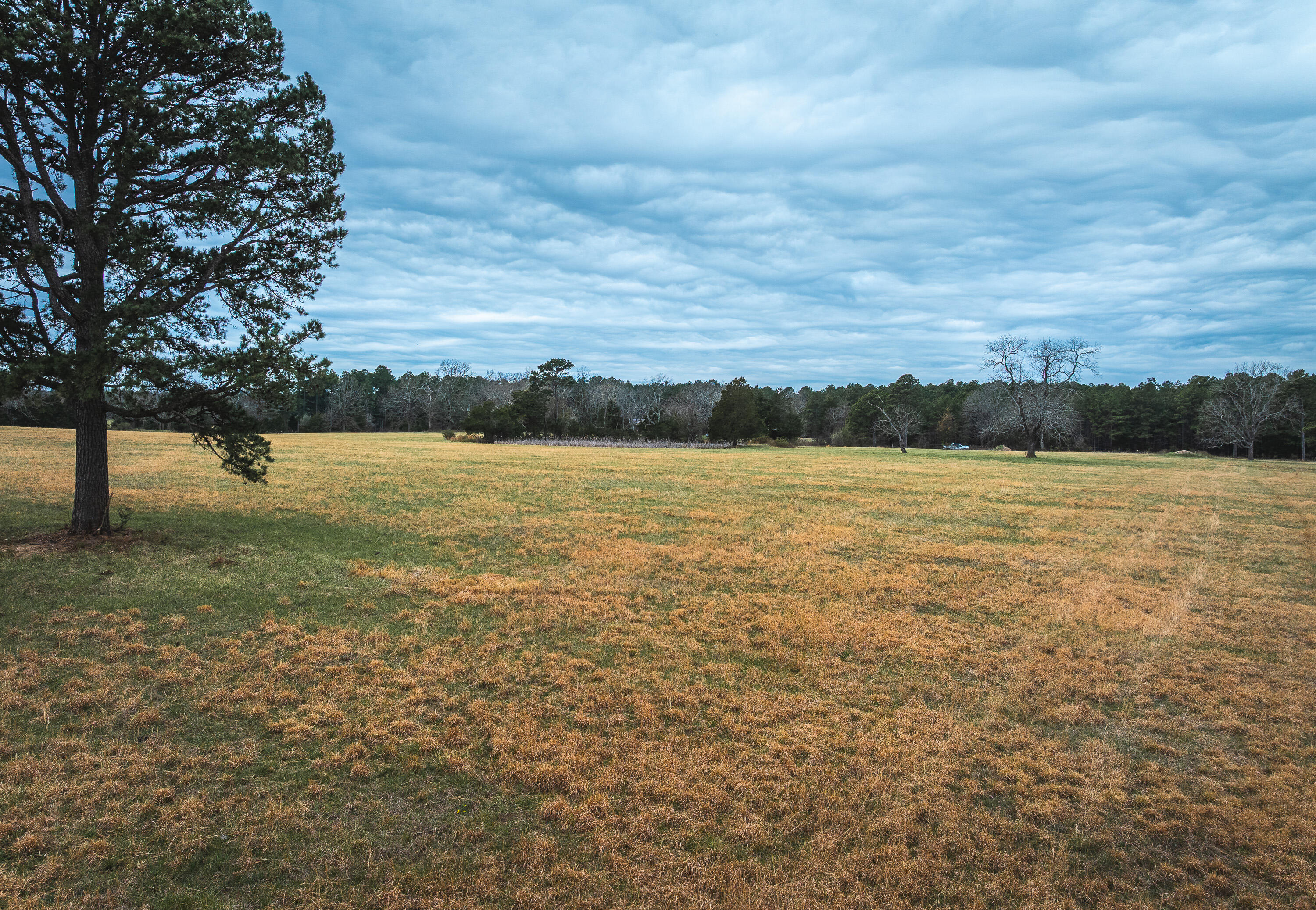000 Dewitt Drive Property Photo 13