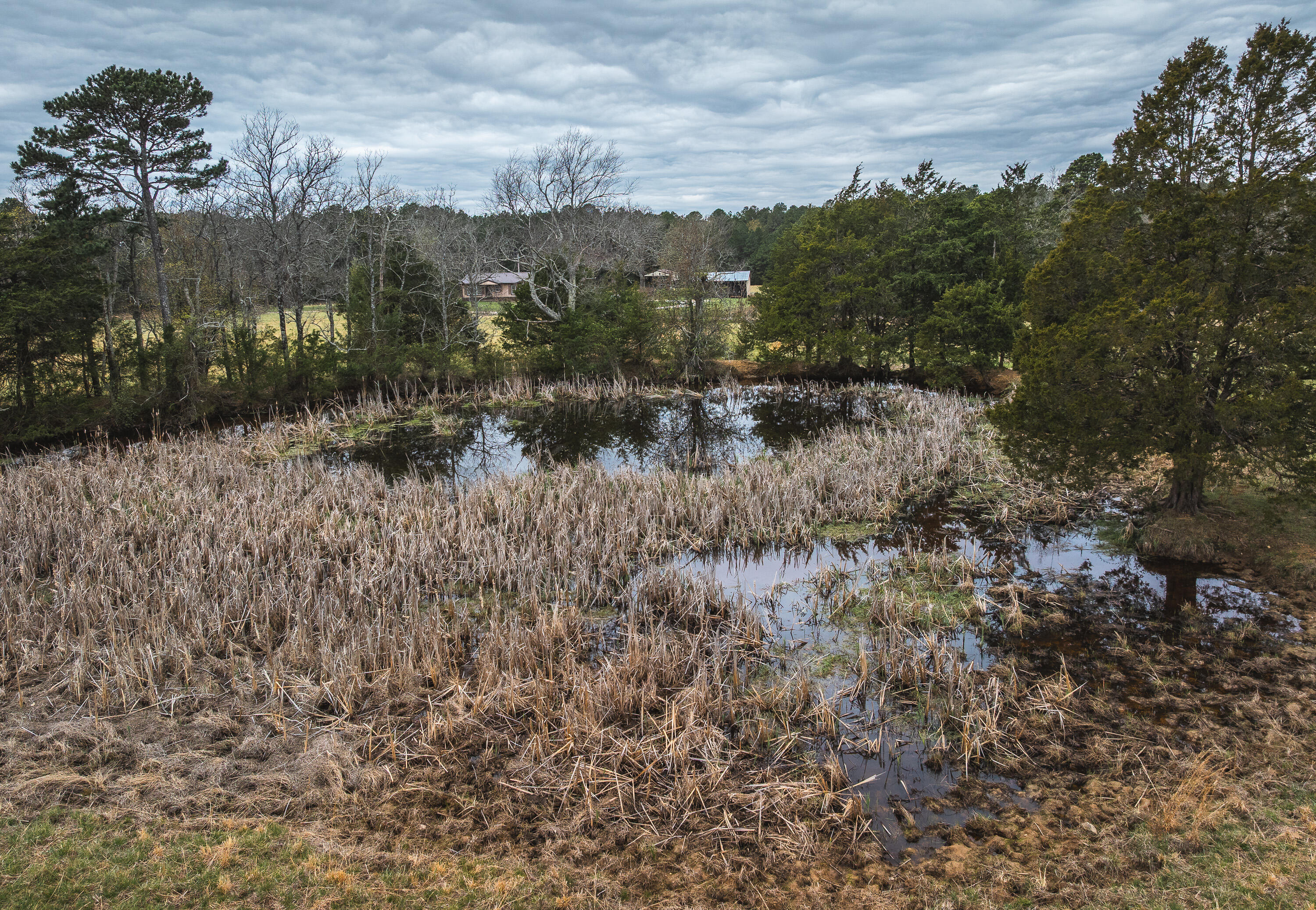 000 Dewitt Drive Property Photo 15