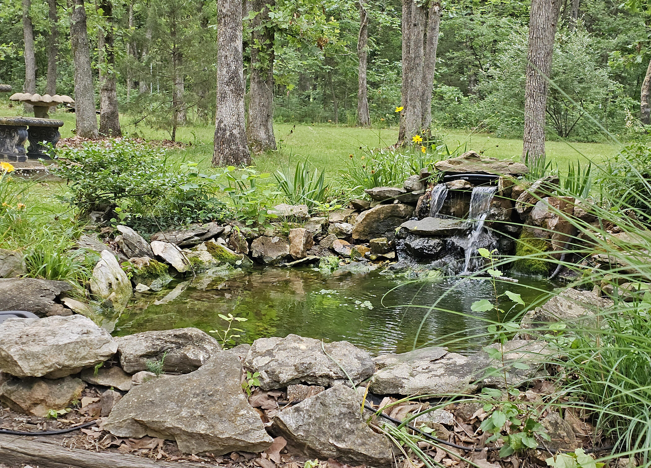 22303 County Road 253 Property Photo 23