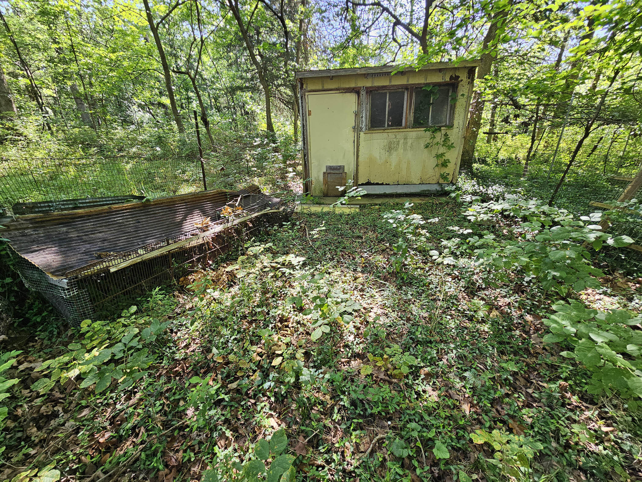 22303 County Road 253 Property Photo 35