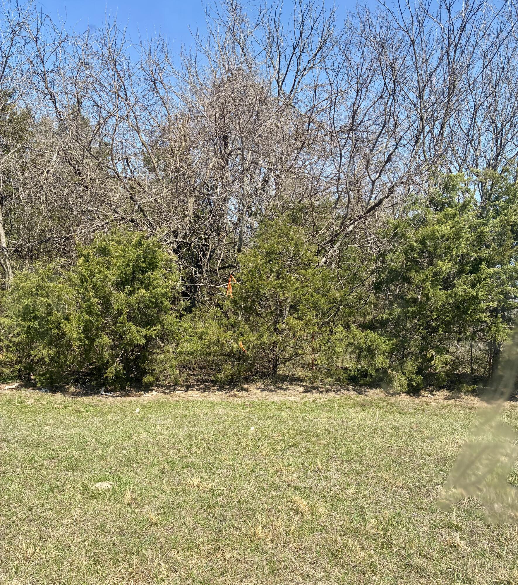 000 State Highway 83 Property Photo 3