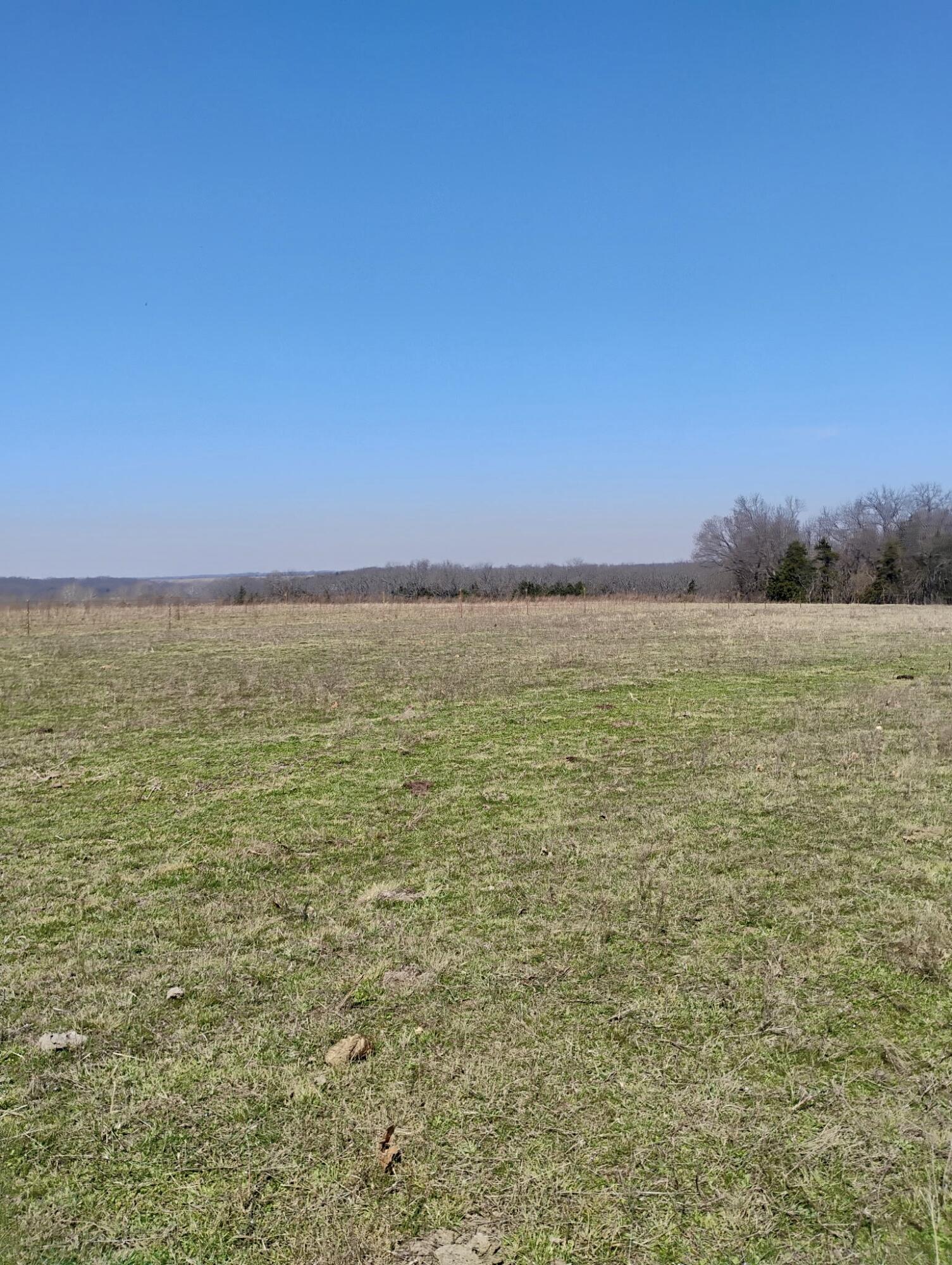 000 State Highway 83 Property Photo 4