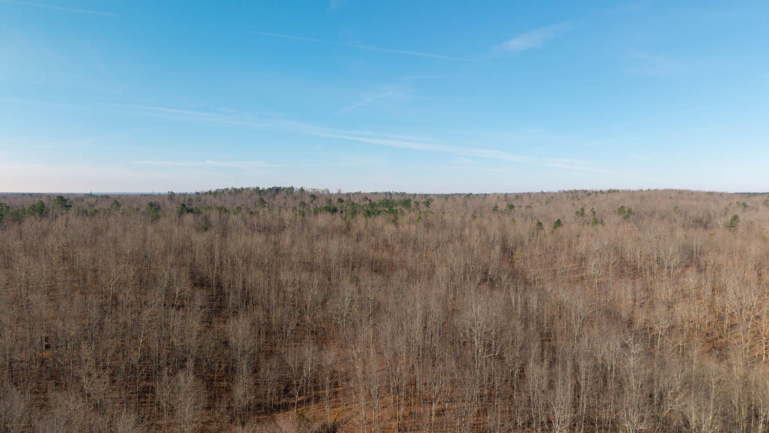 000 Highway B Property Photo 10