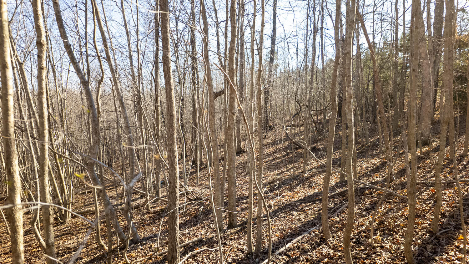 000 Highway B Property Photo 14