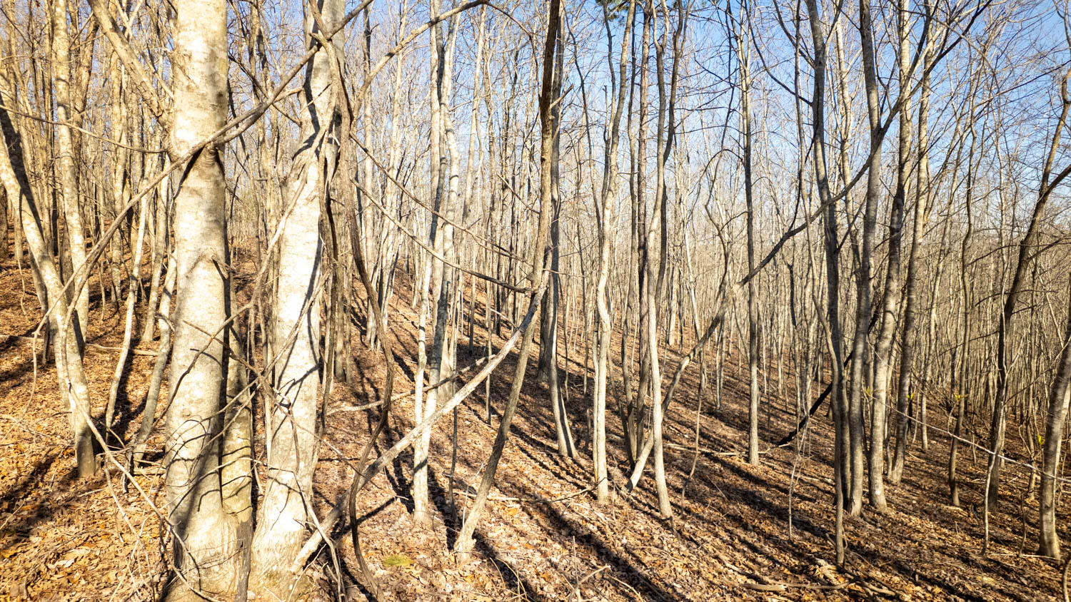 000 Highway B Property Photo 15