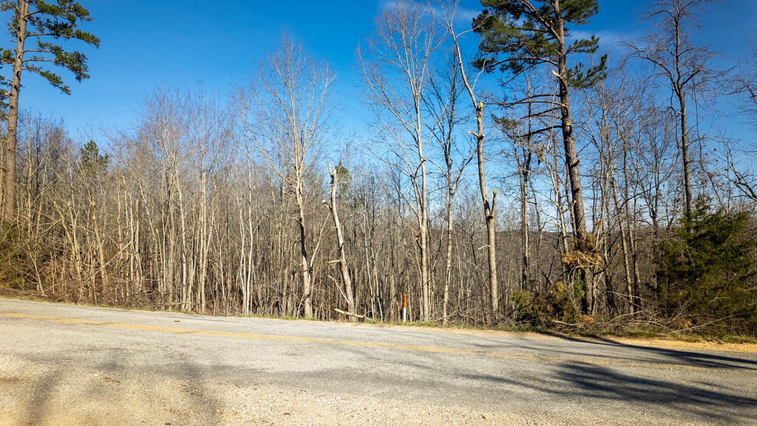 000 Highway B Property Photo 17