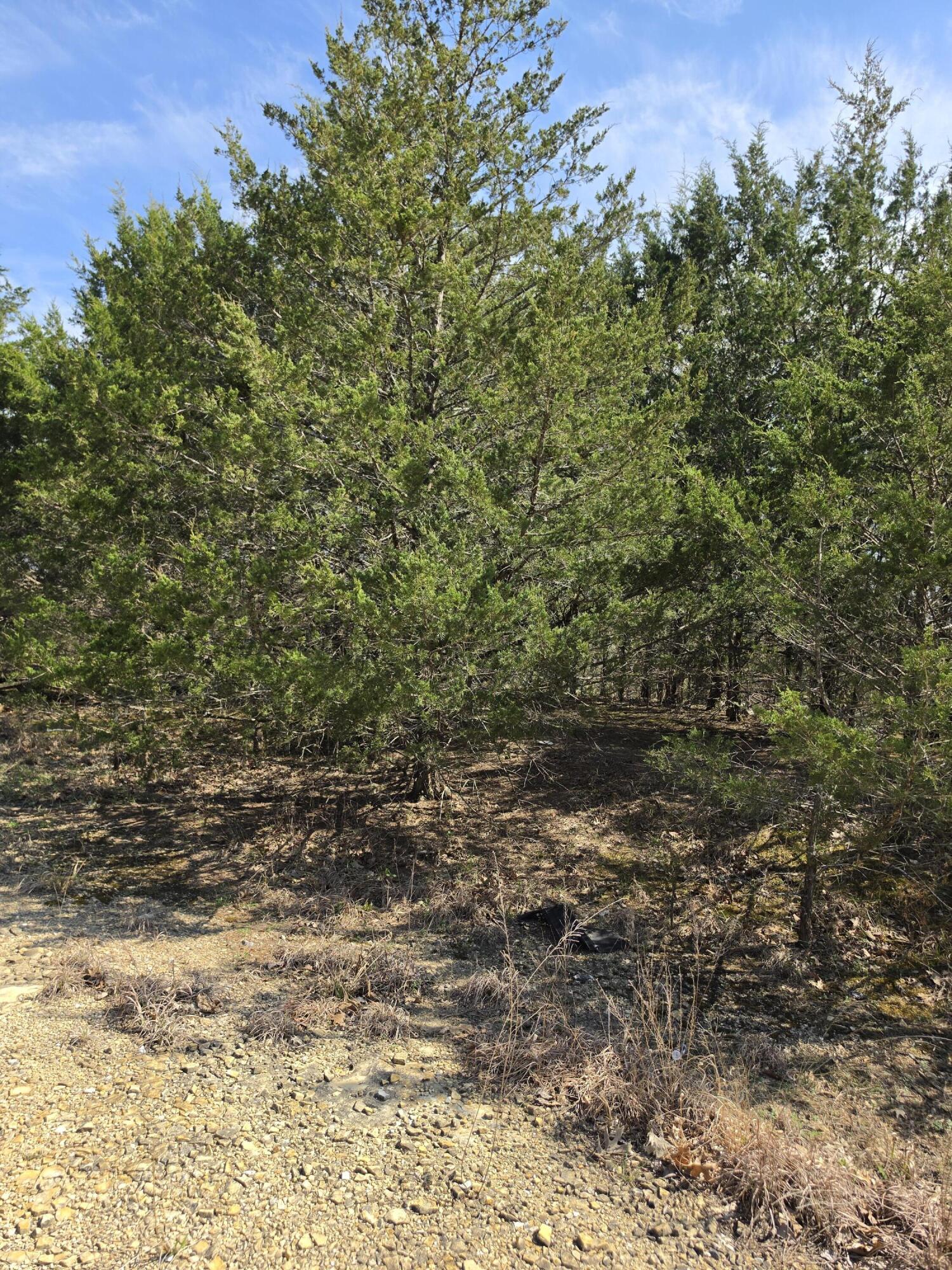 000 Beeler Road Property Photo 4