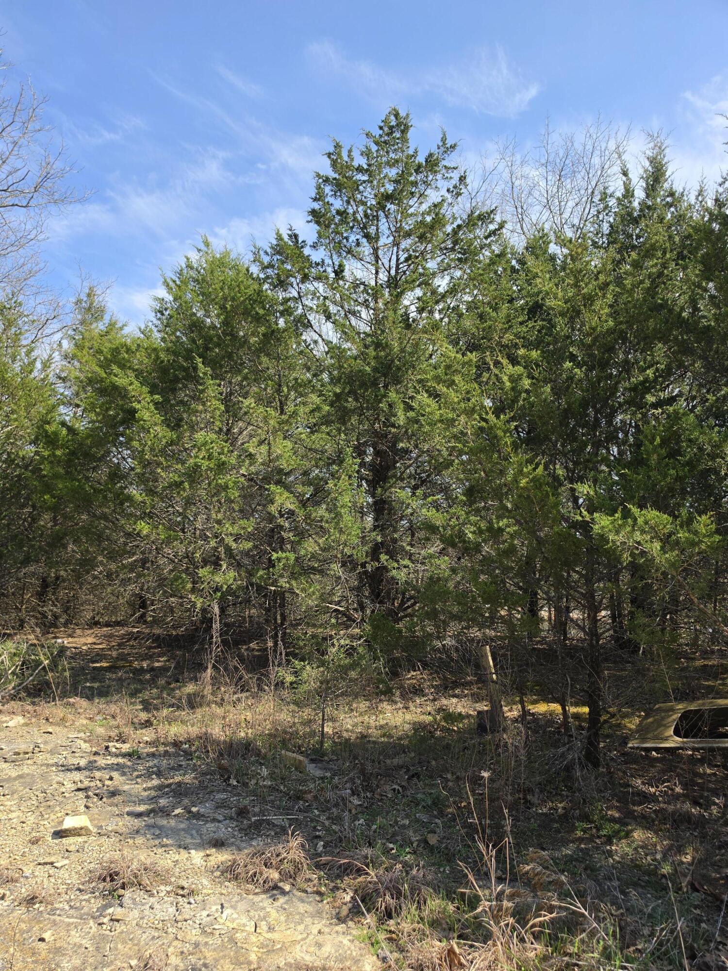 000 Beeler Road Property Photo 6