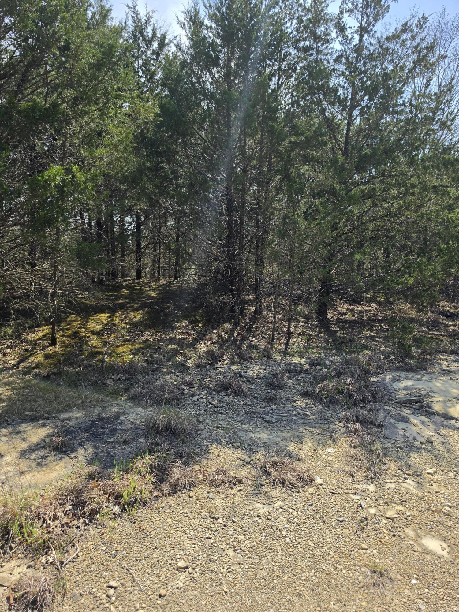 000 Beeler Road Property Photo 13