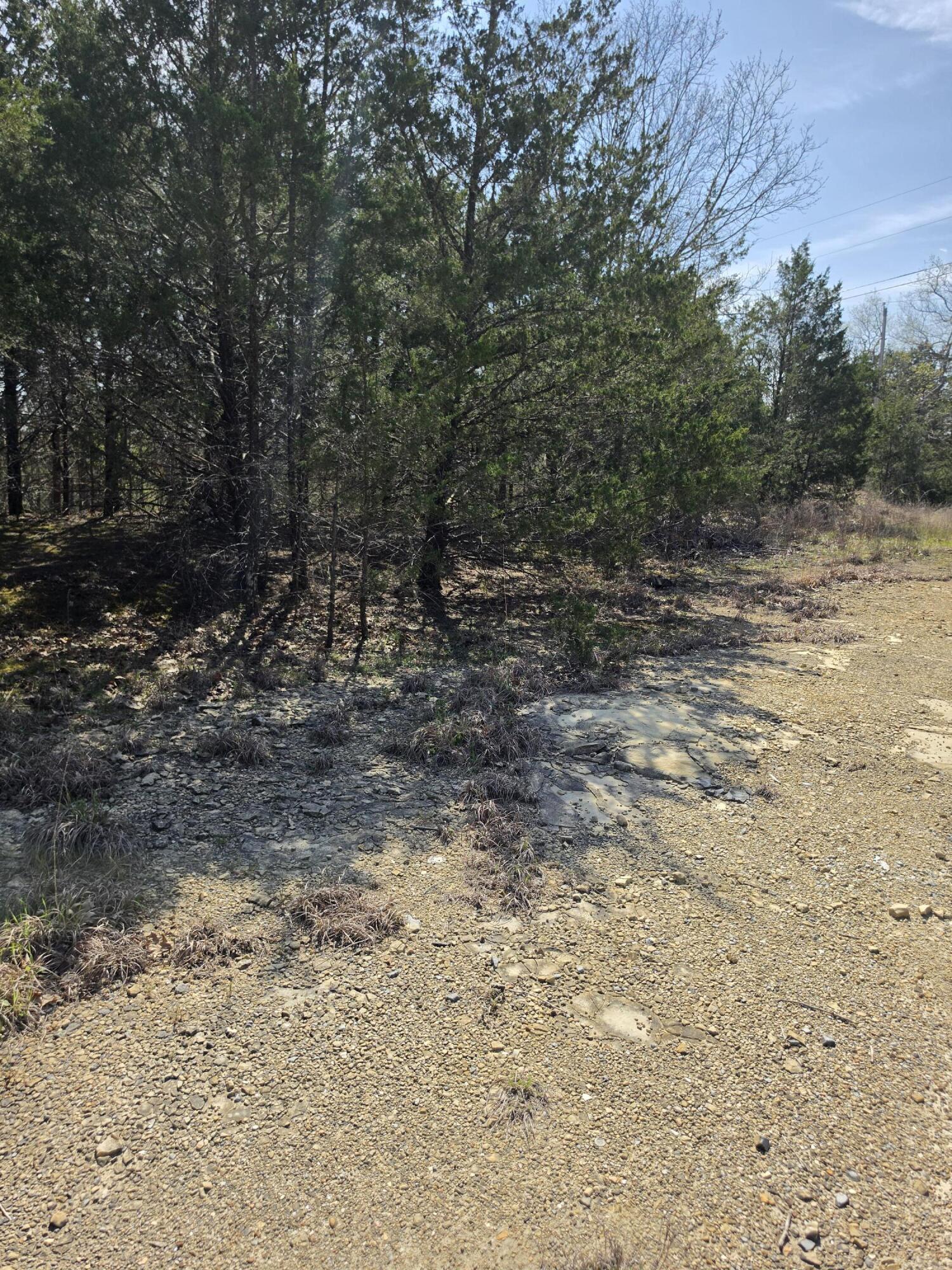 000 Beeler Road Property Photo 14