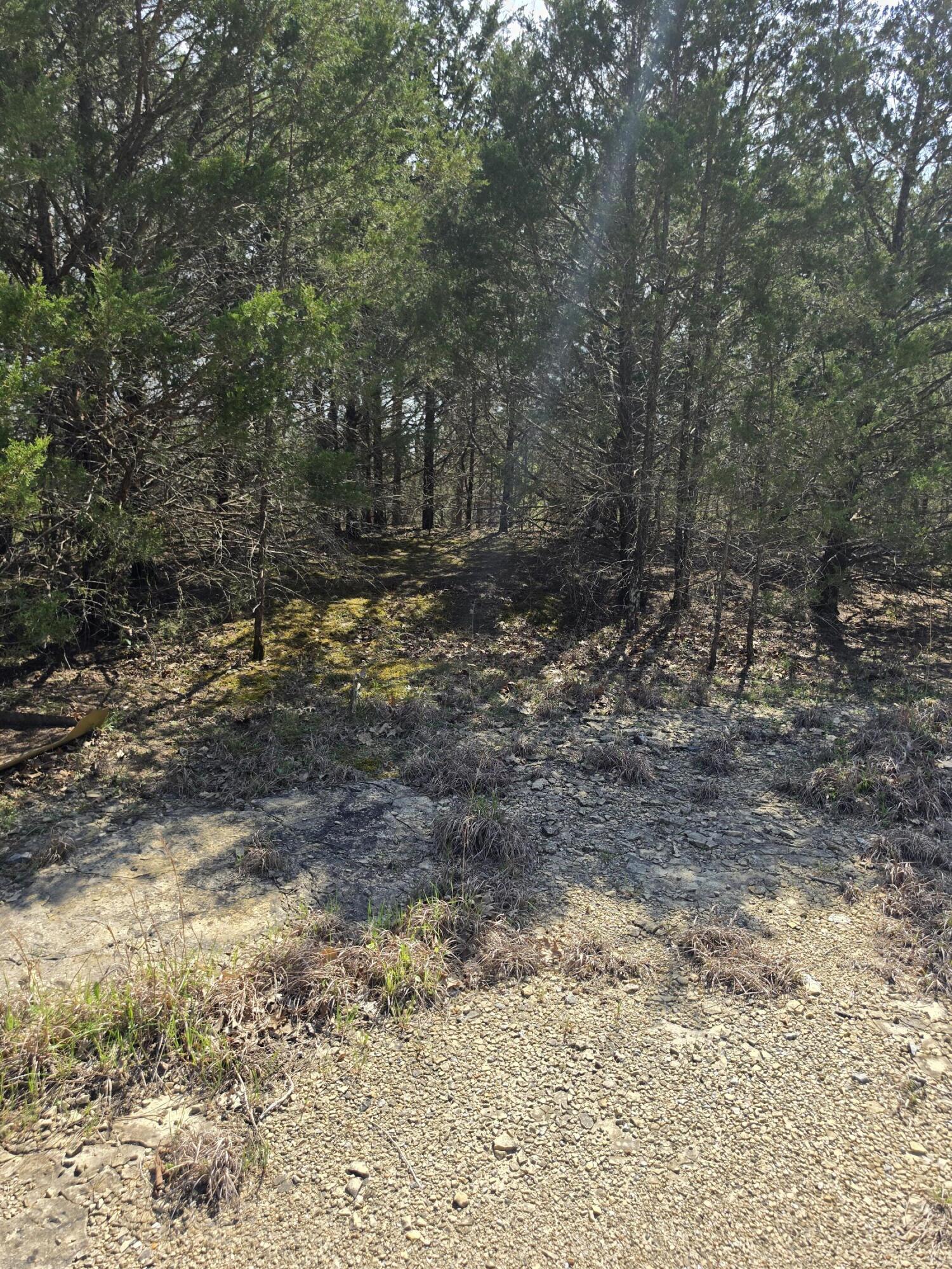 000 Beeler Road Property Photo 15