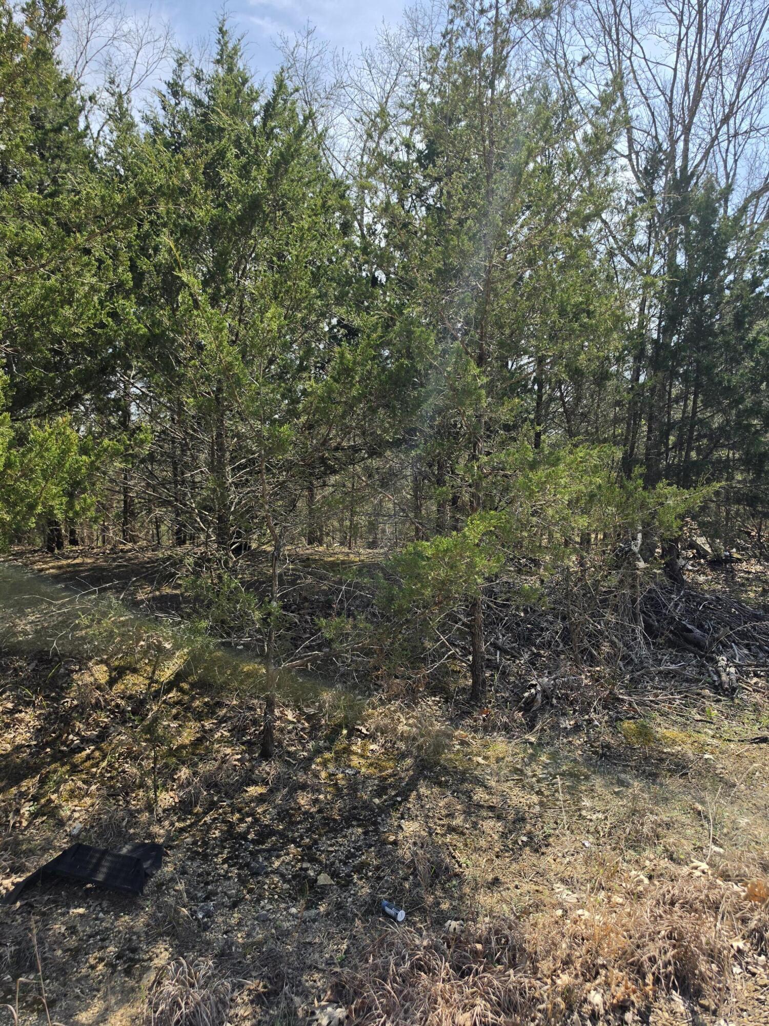000 Beeler Road Property Photo 16