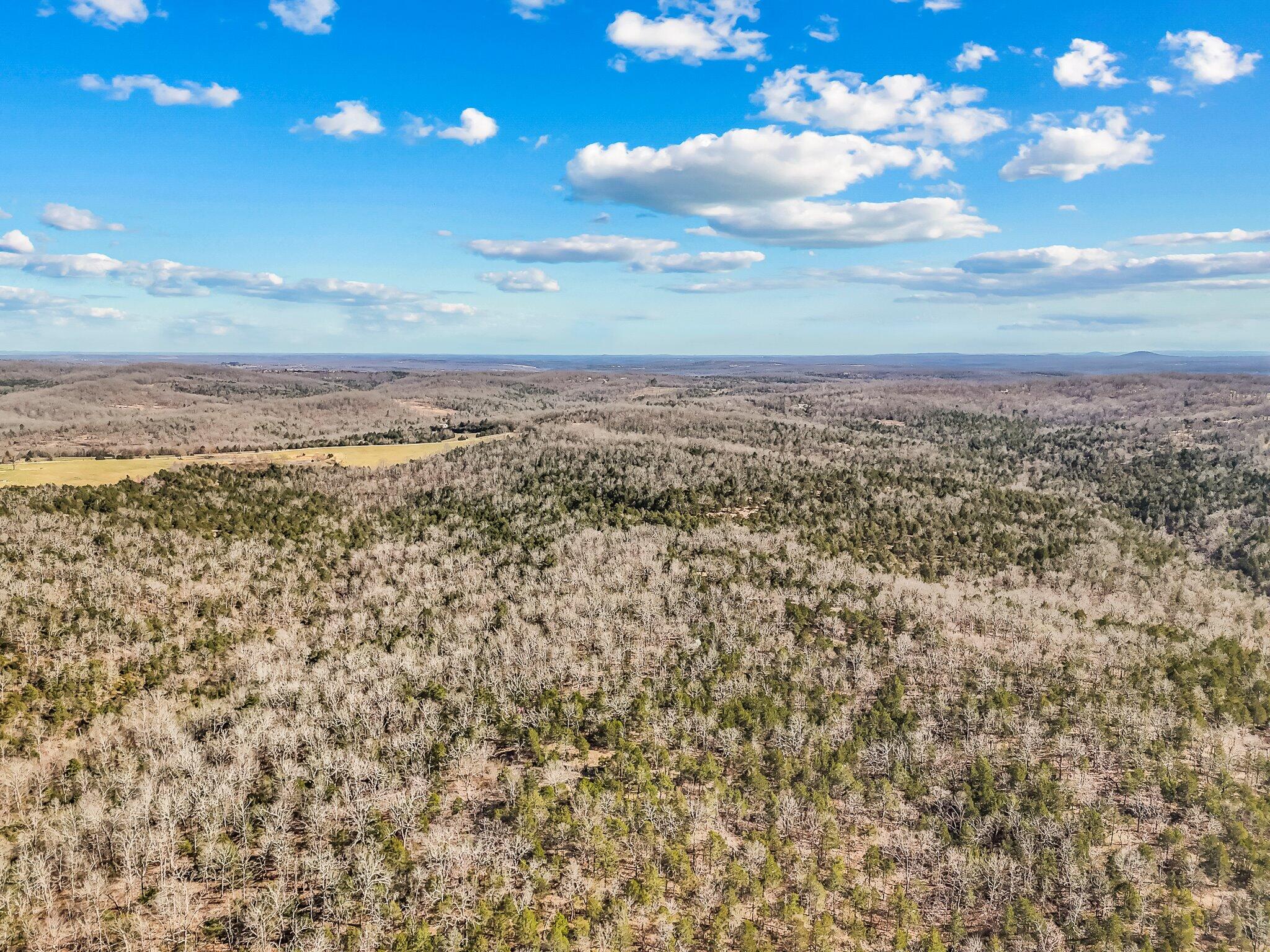 Tbd County Road 527 Property Photo 4