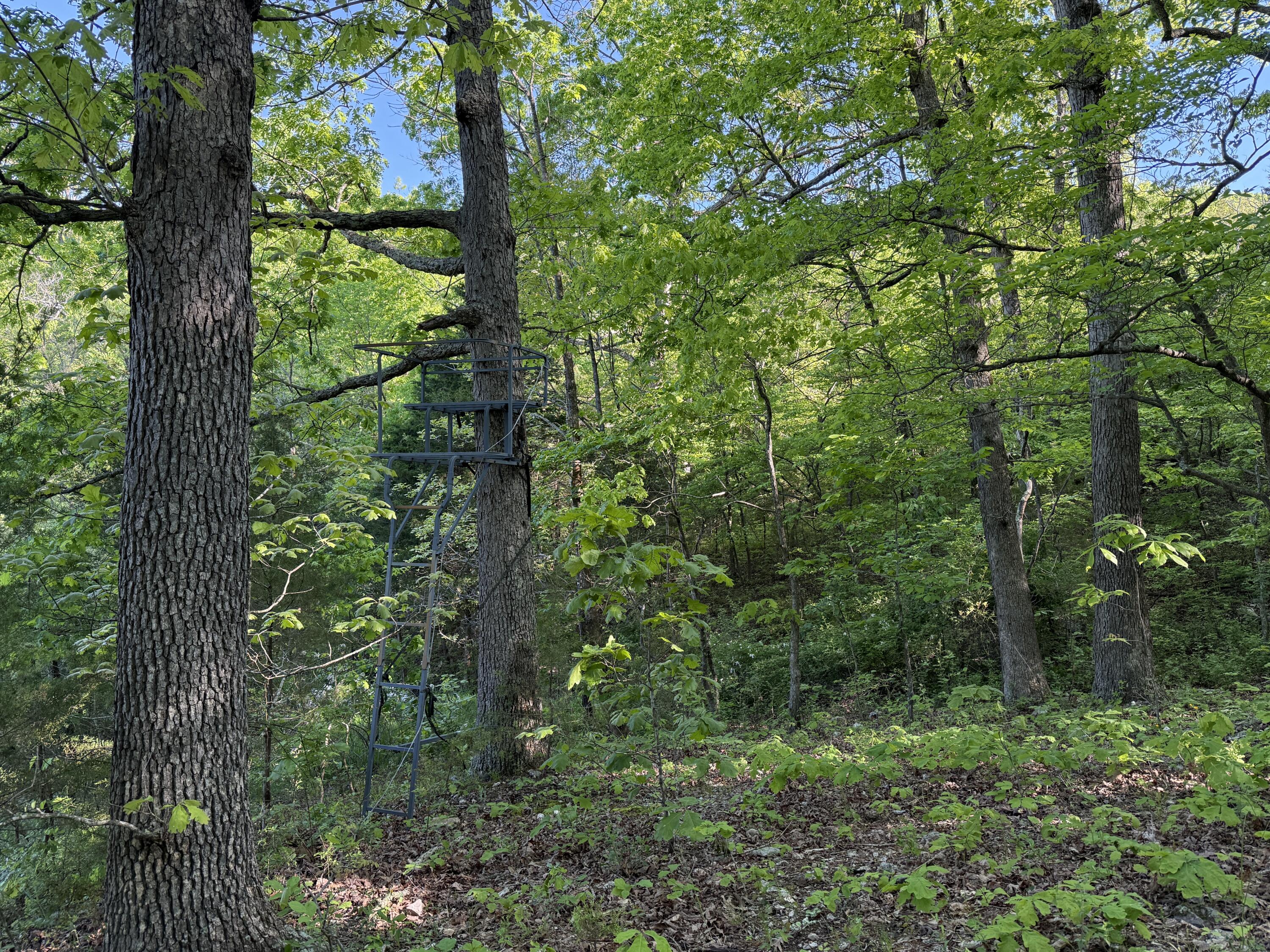 13080 County Road Ee Property Photo 23