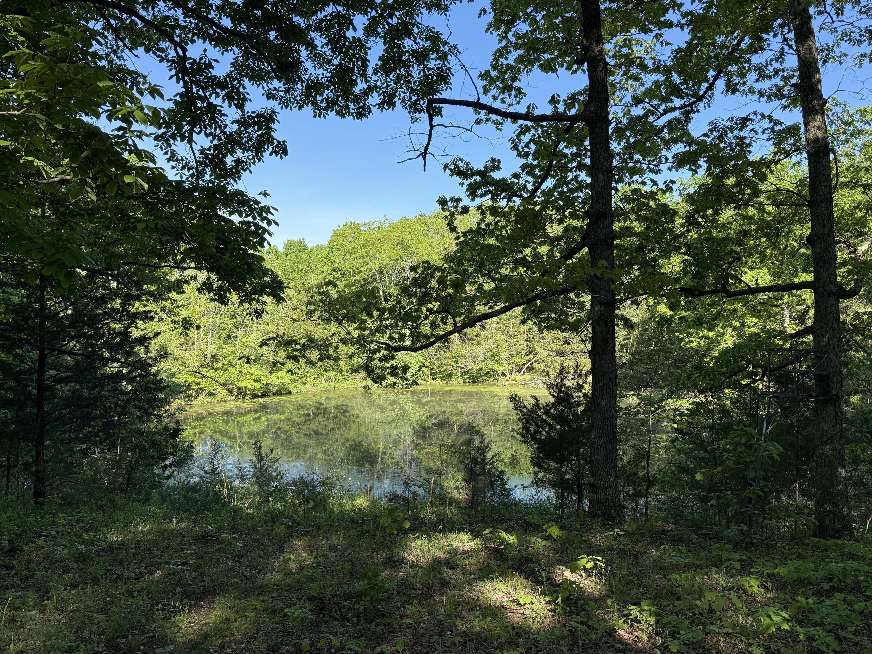 13080 County Road Ee Property Photo 24
