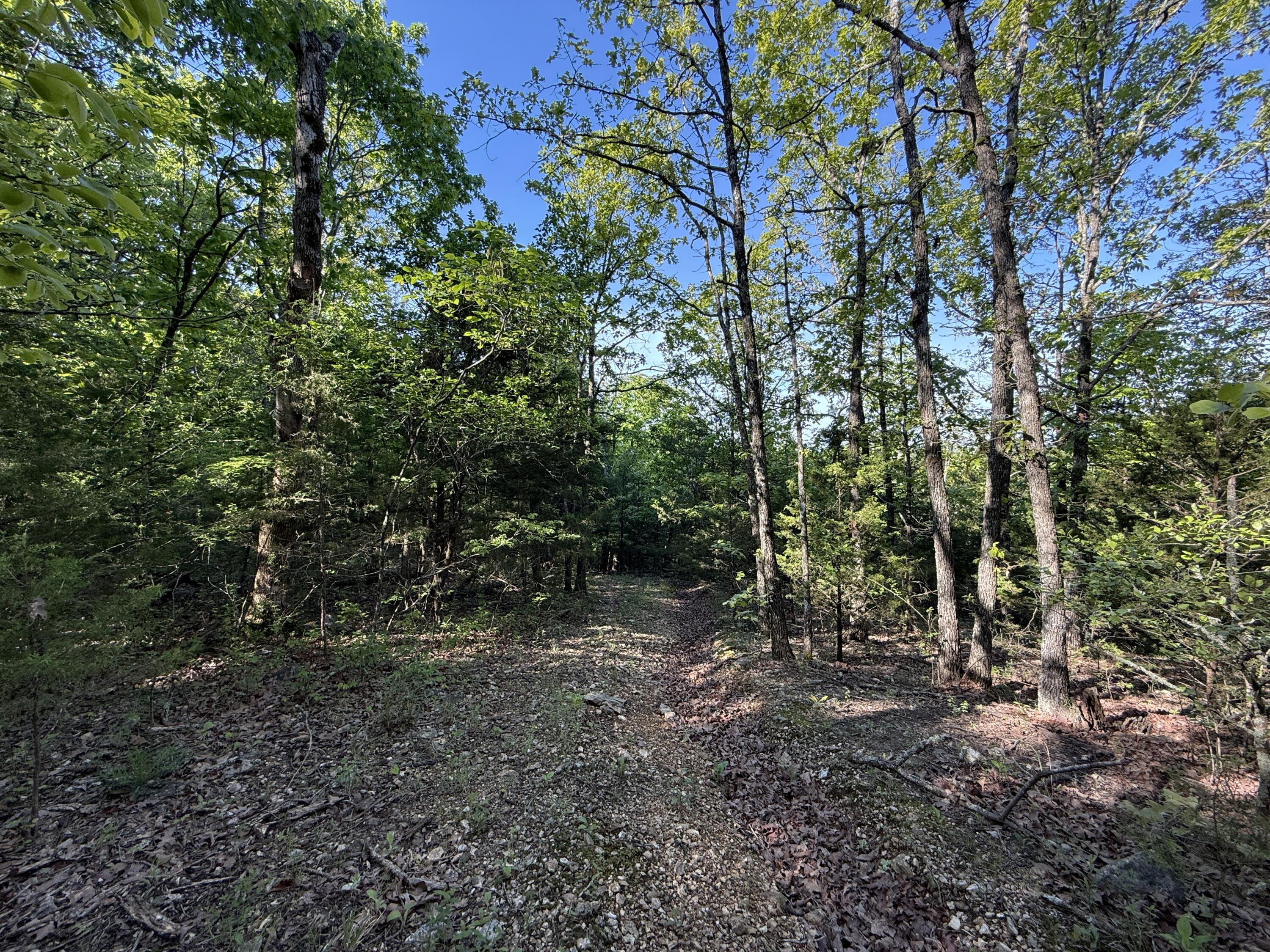 13080 County Road Ee Property Photo 26