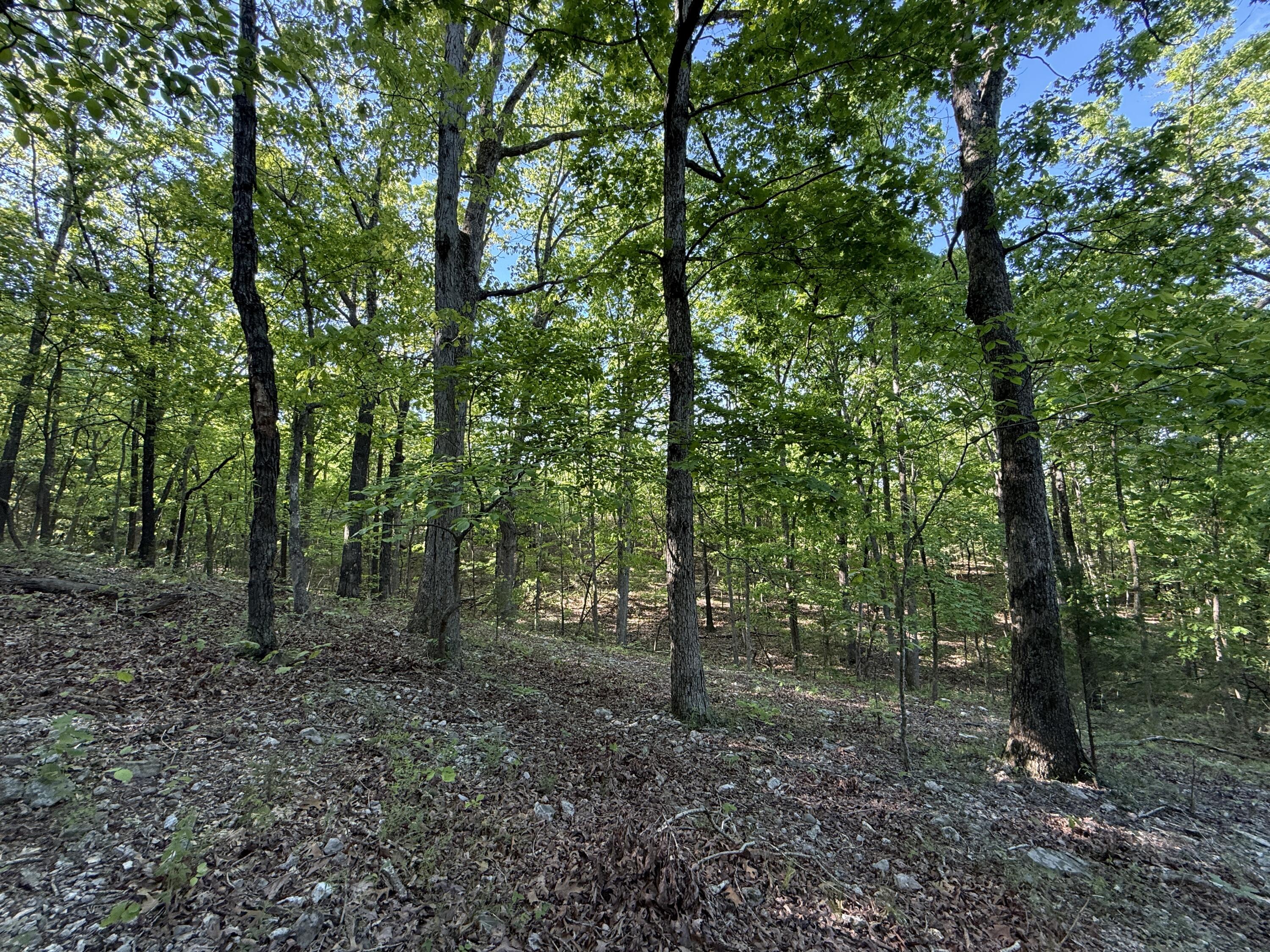 13080 County Road Ee Property Photo 27