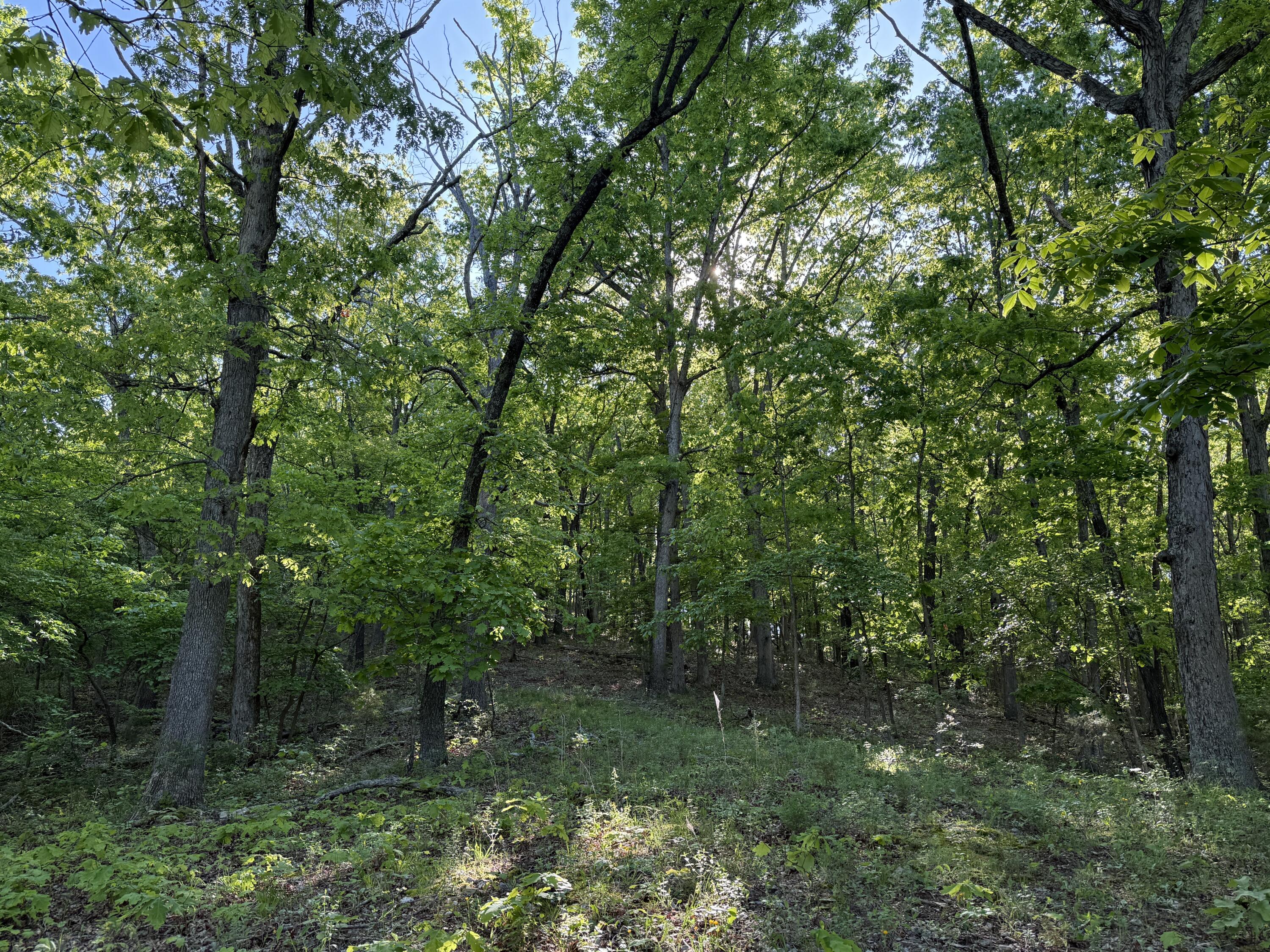 13080 County Road Ee Property Photo 28