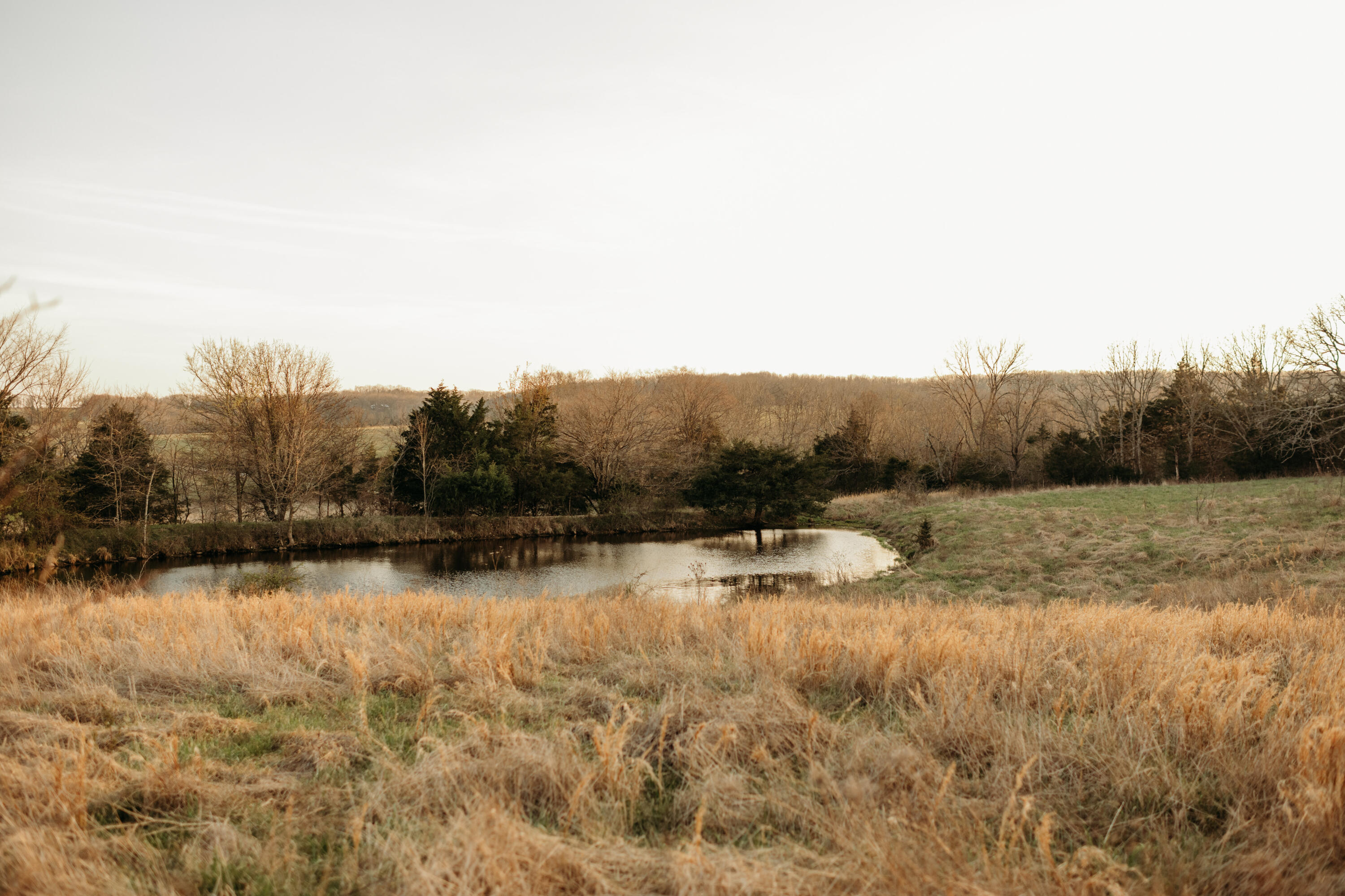 10292 Mill Road Property Photo 11