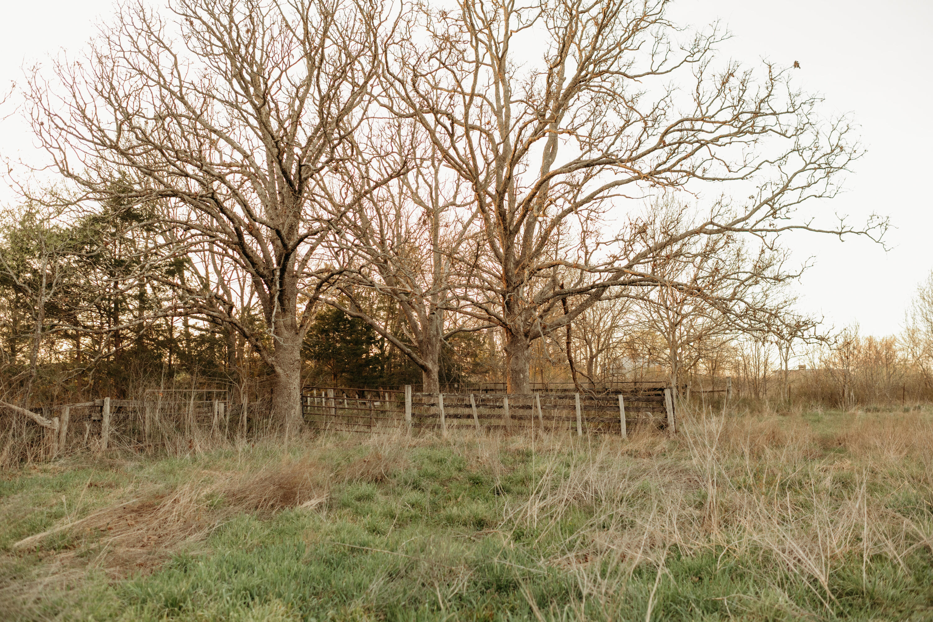 10292 Mill Road Property Photo 12