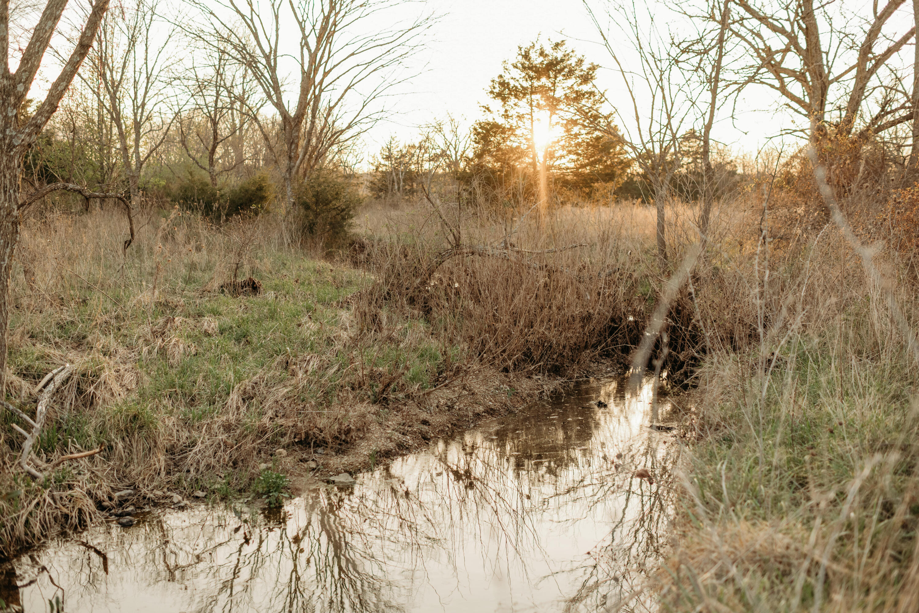10292 Mill Road Property Photo 13