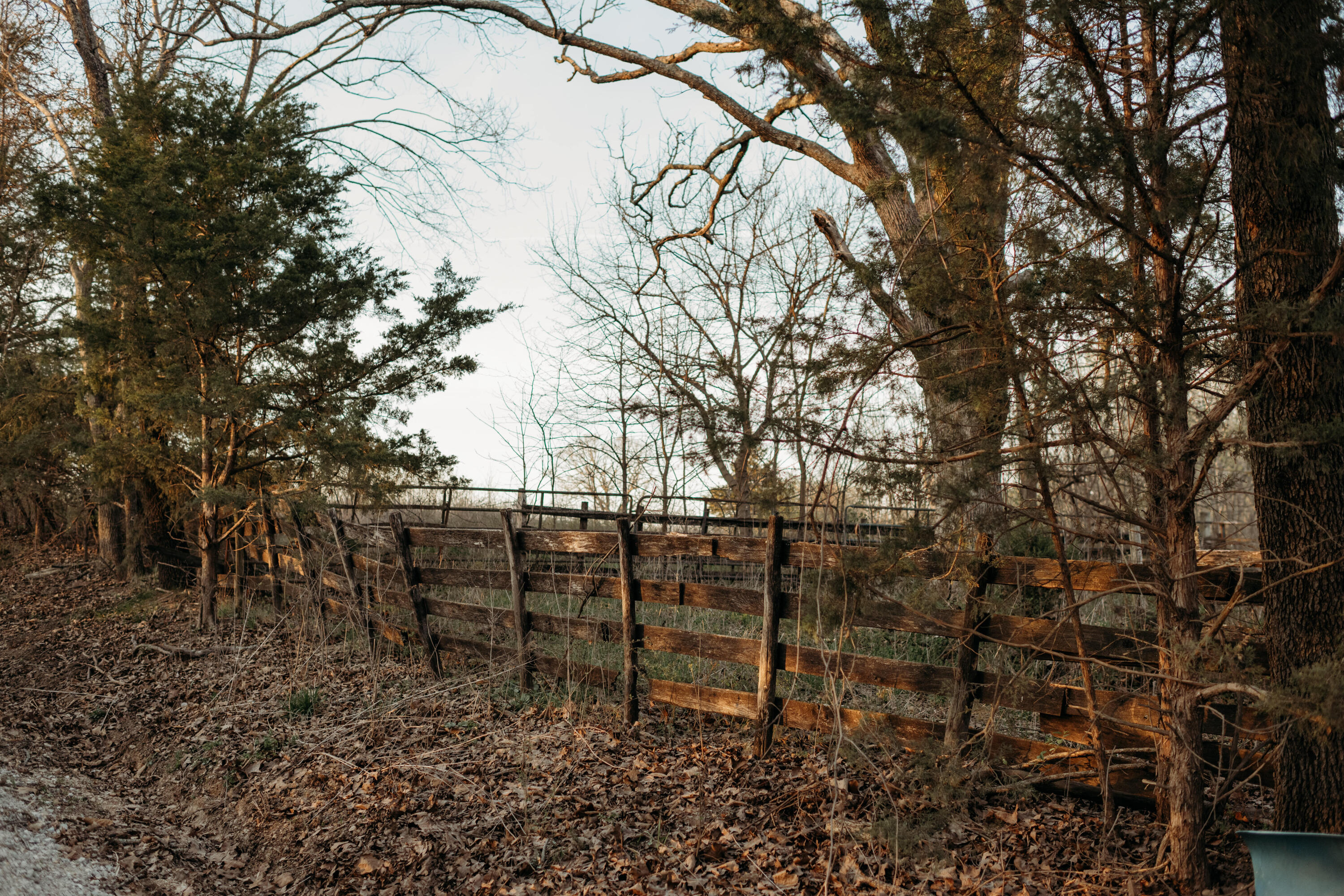 10292 Mill Road Property Photo 14