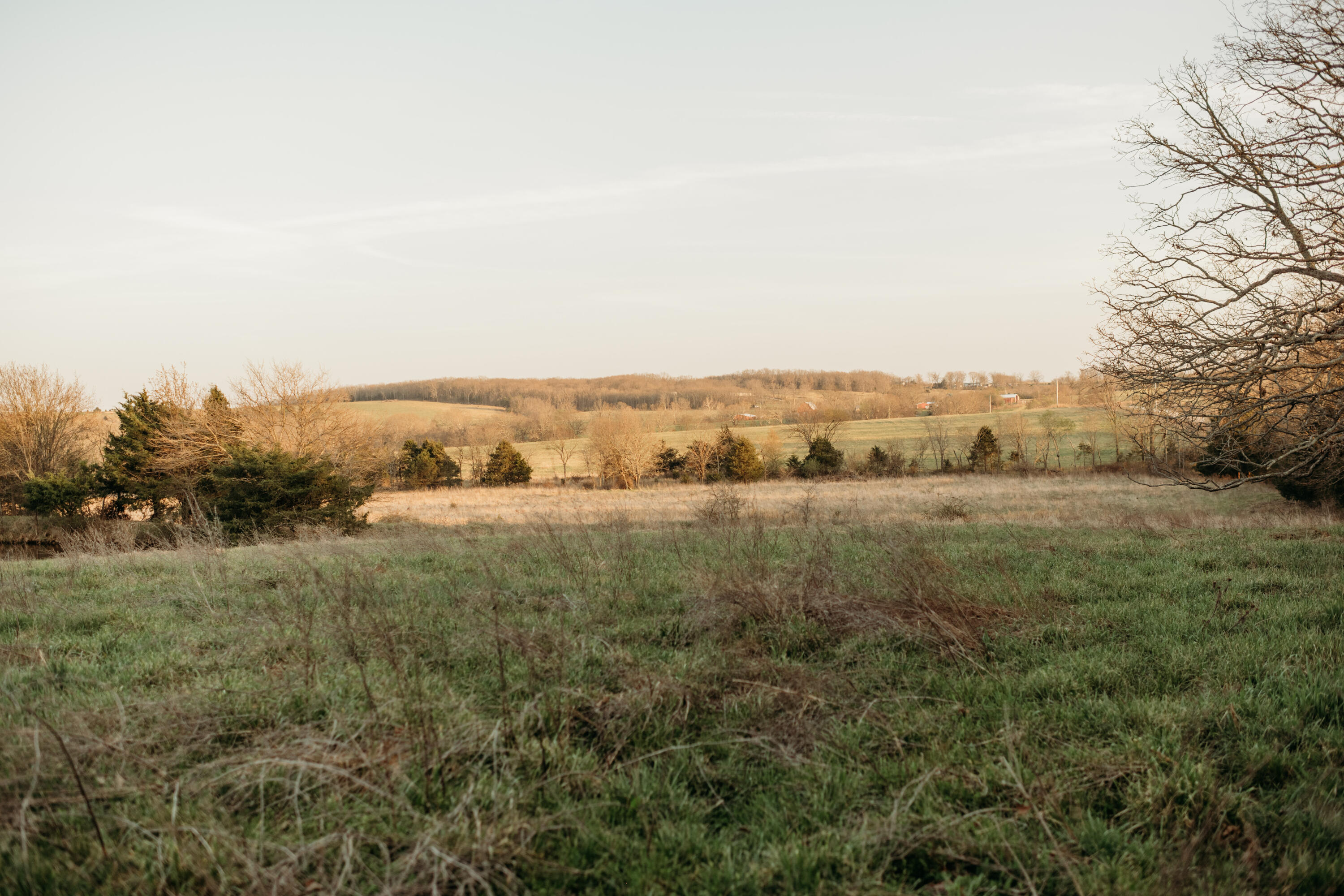 10292 Mill Road Property Photo 16