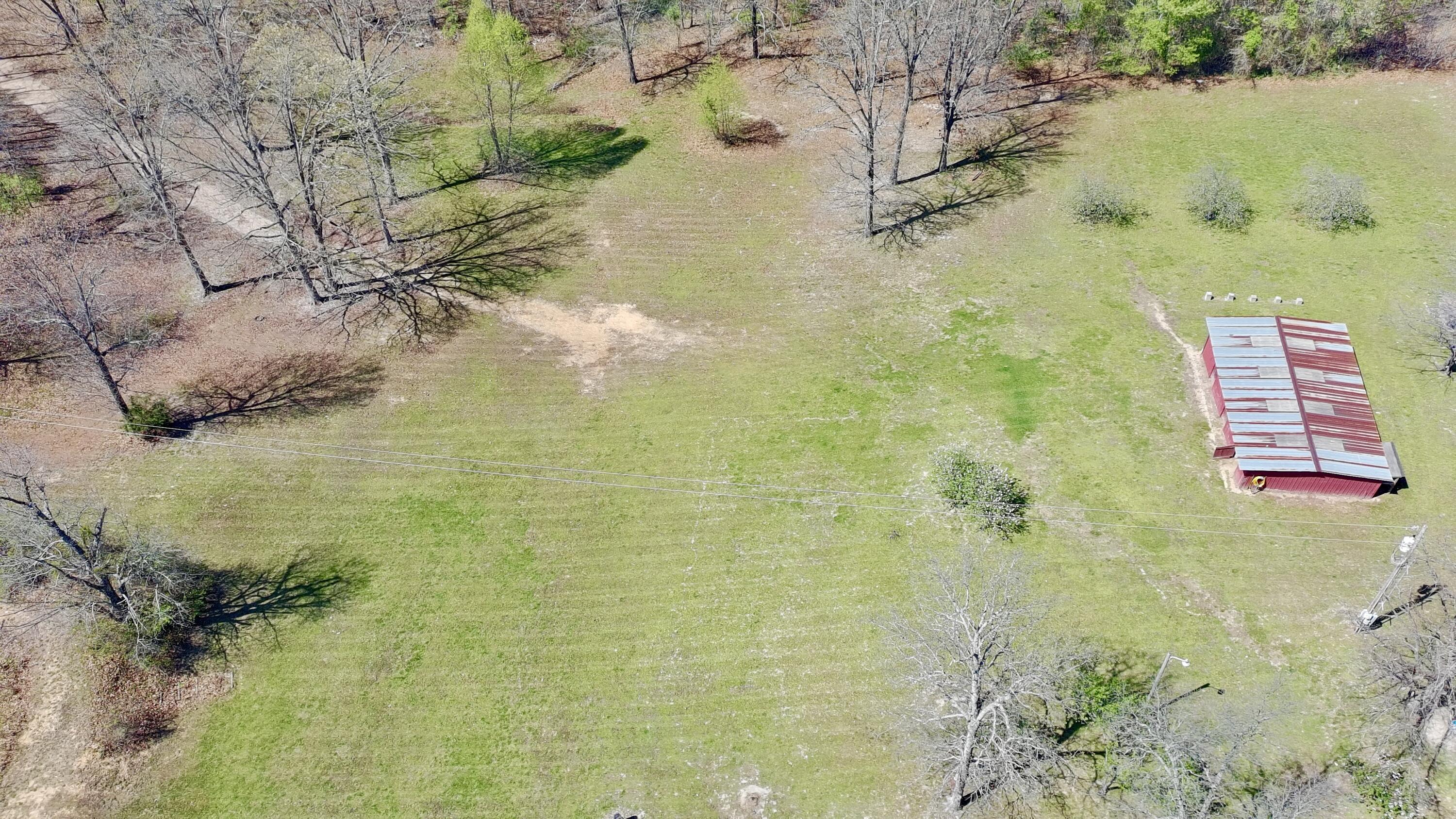 2731 County Road 250 Property Photo 10