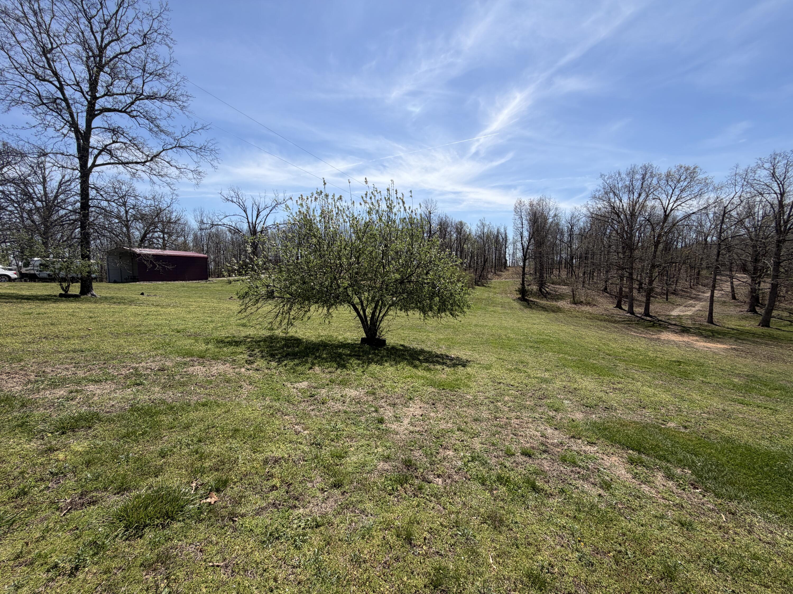 2731 County Road 250 Property Photo 108