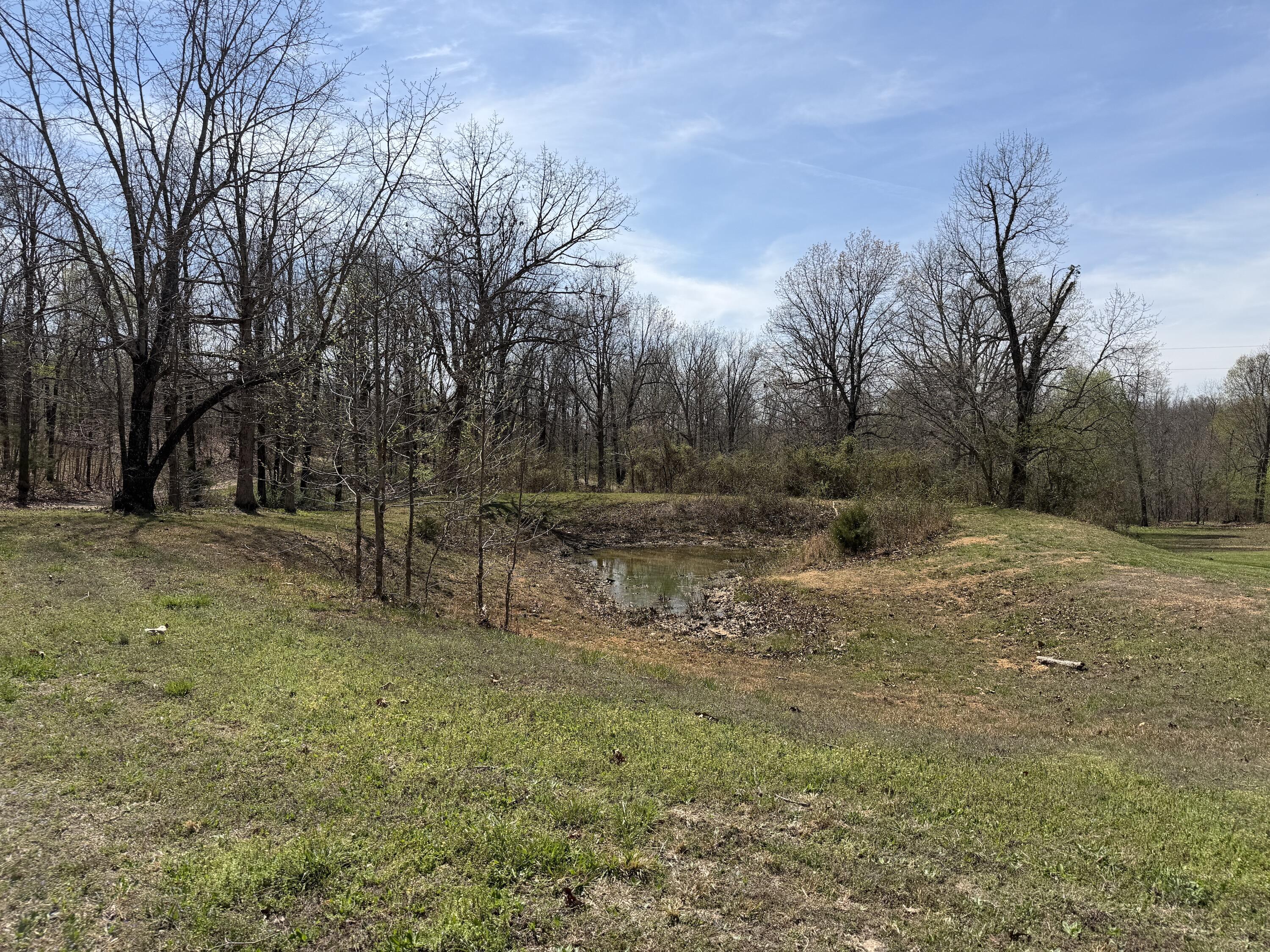 2731 County Road 250 Property Photo 122