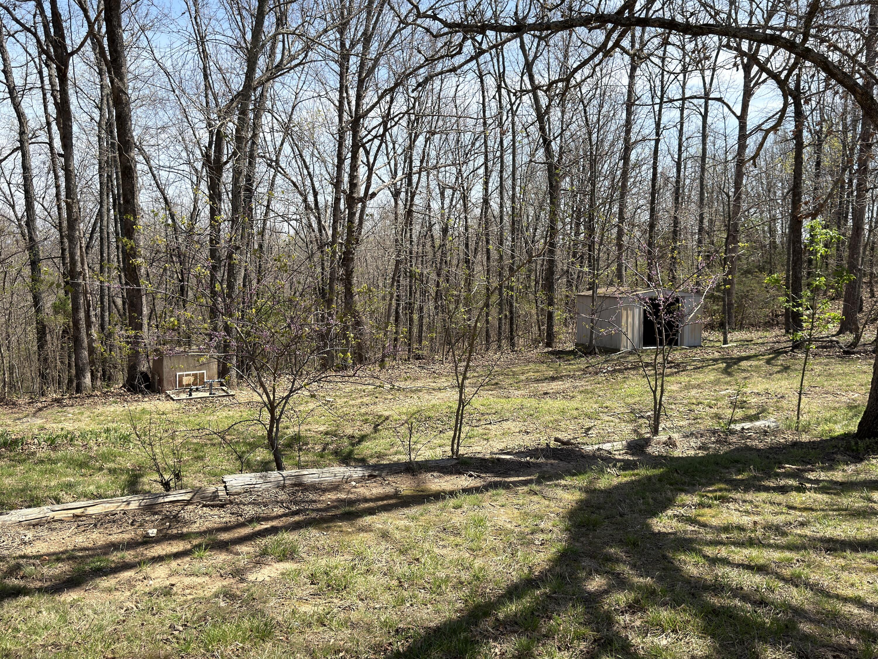 2731 County Road 250 Property Photo 123