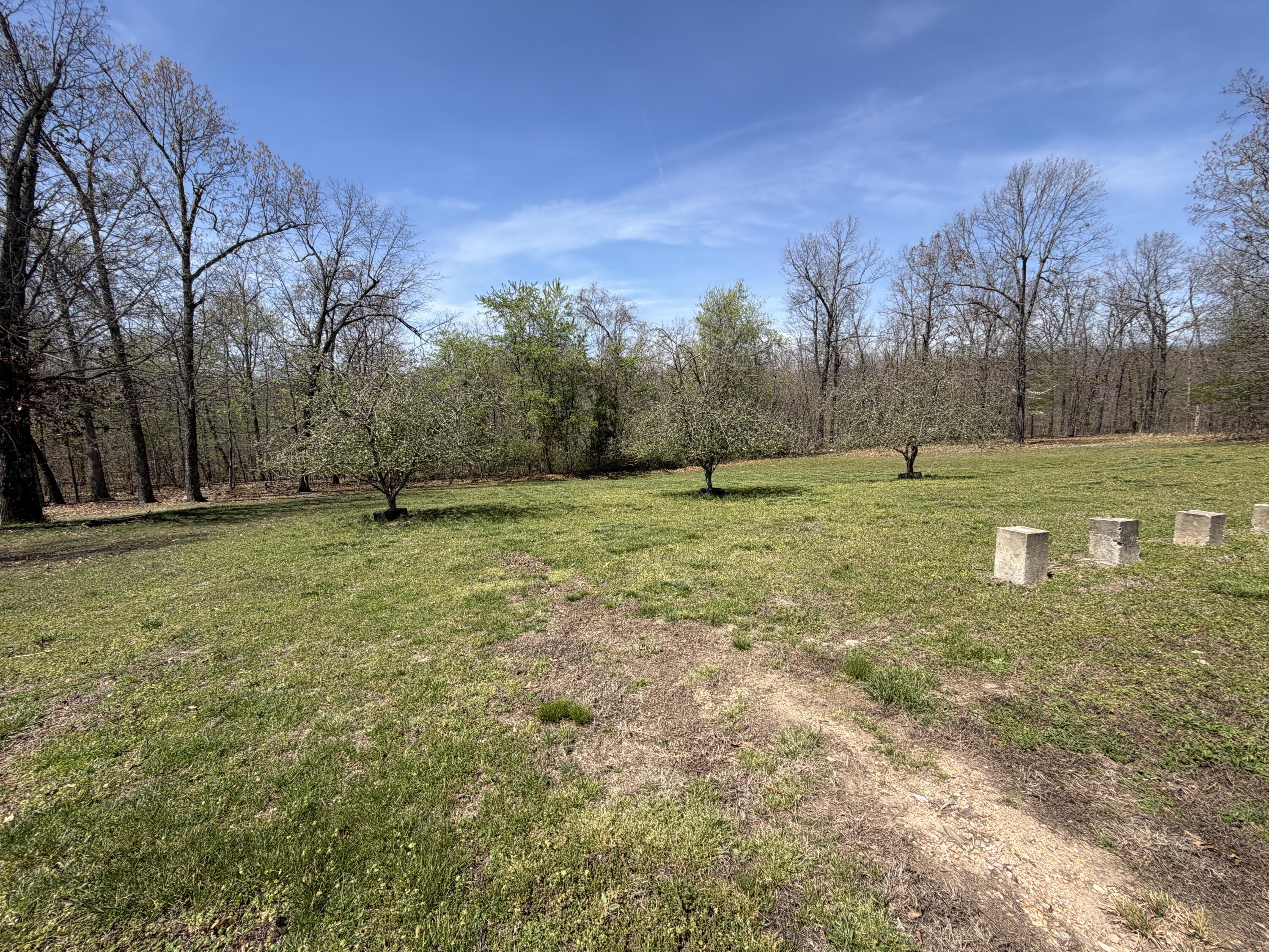 2731 County Road 250 Property Photo 126