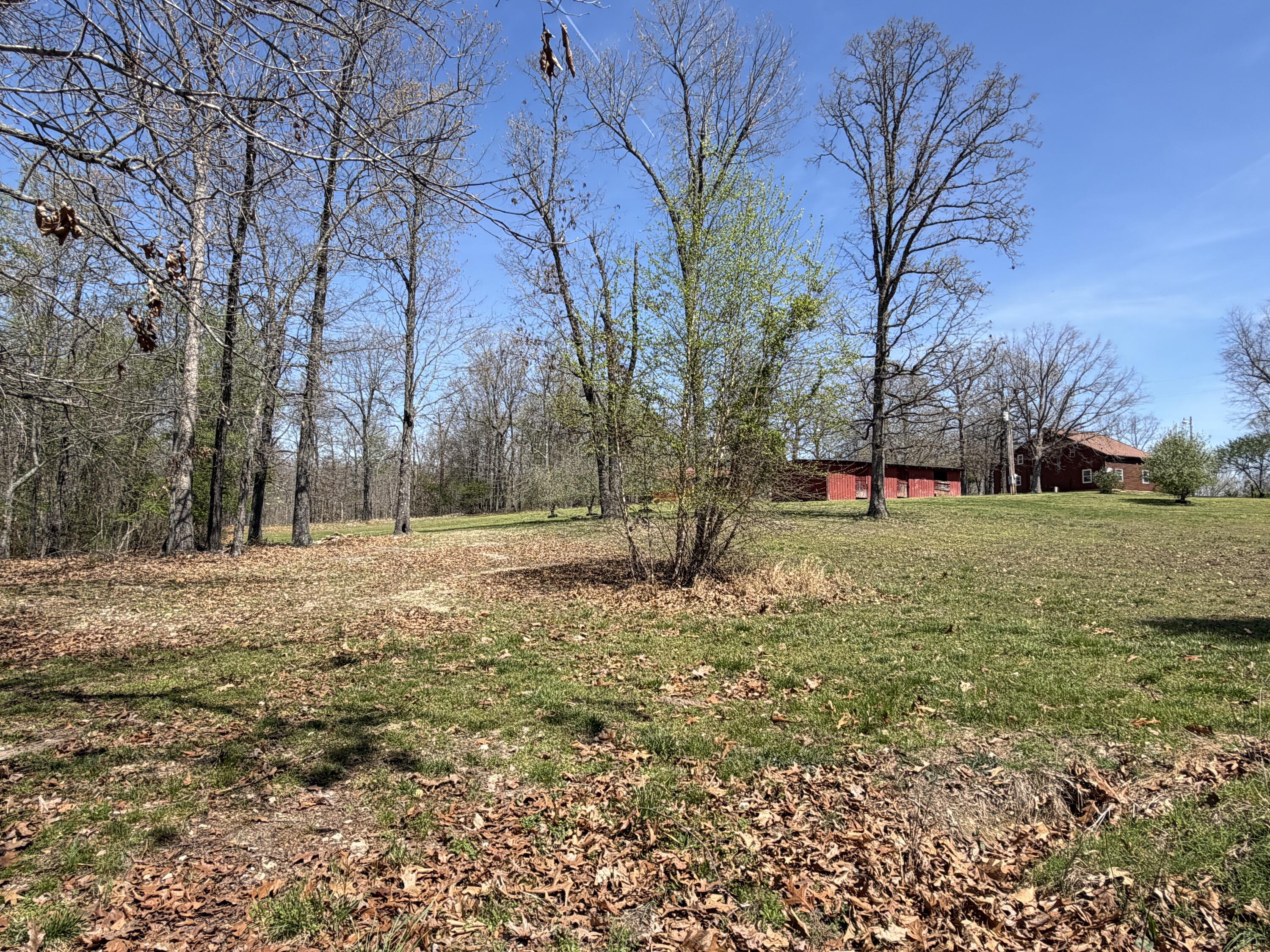 2731 County Road 250 Property Photo 127