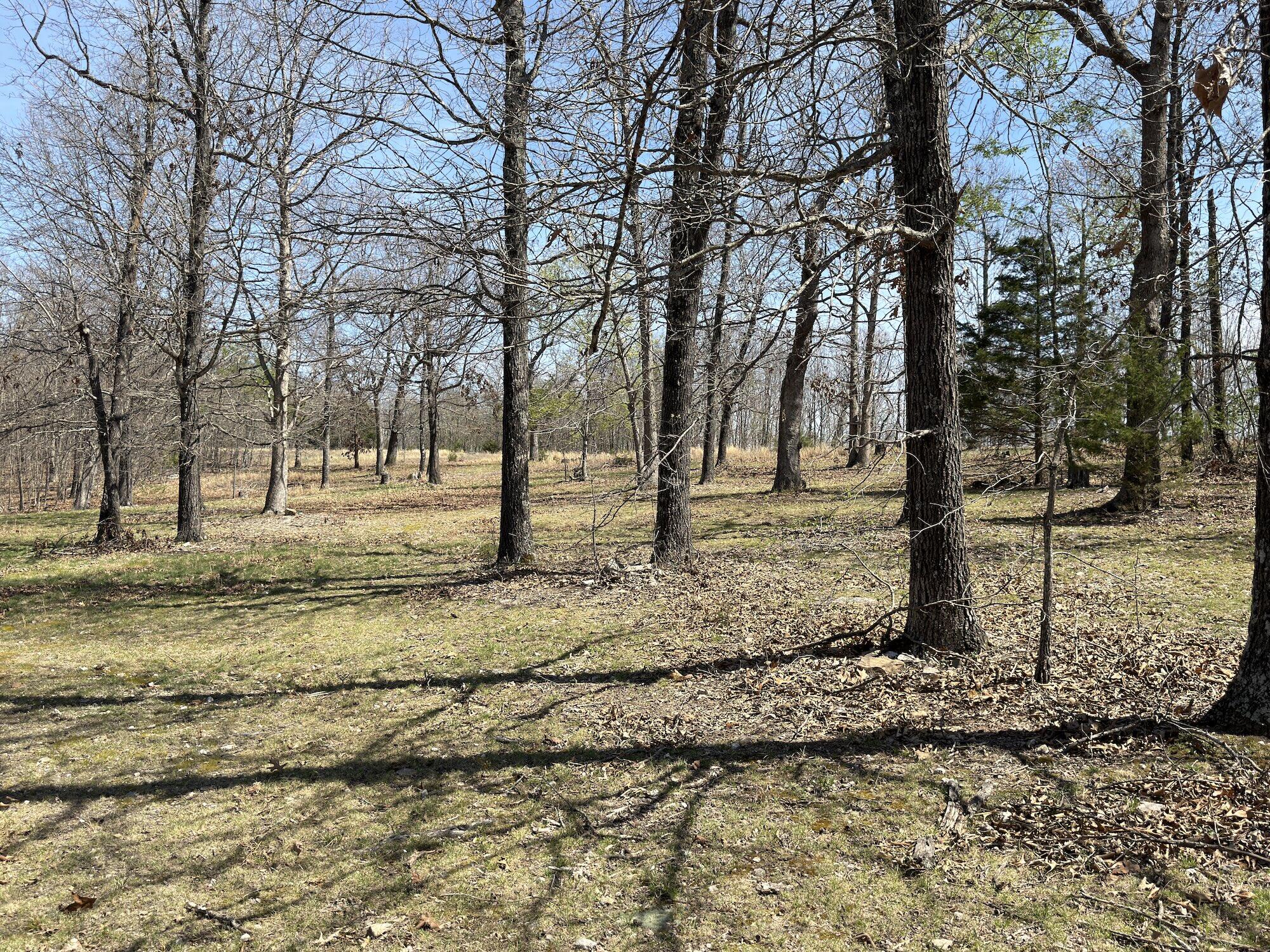 2731 County Road 250 Property Photo 128
