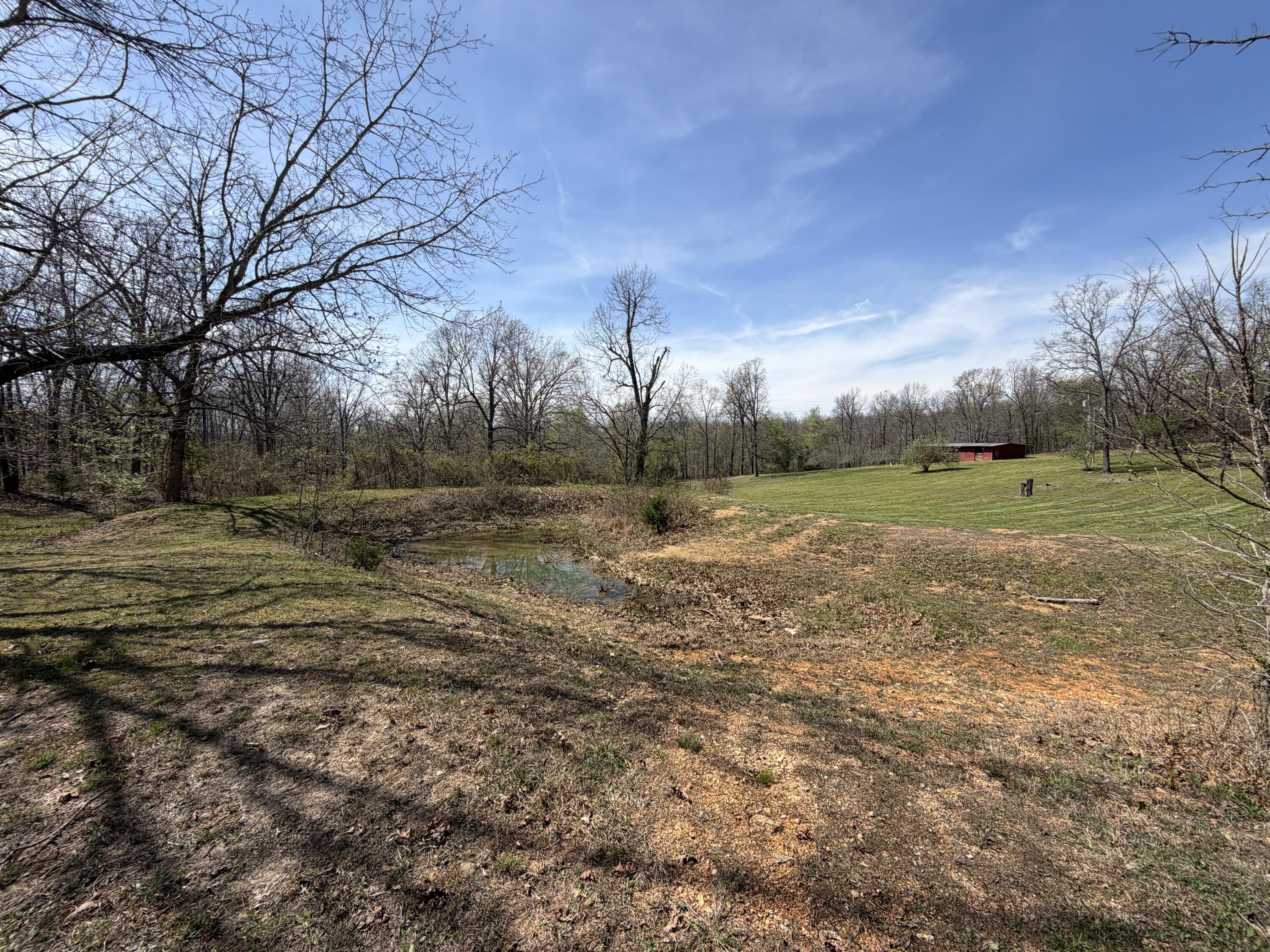 2731 County Road 250 Property Photo 136