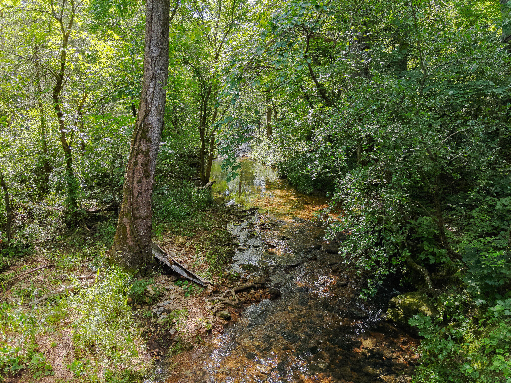 00000 County Road 544 Property Photo 14